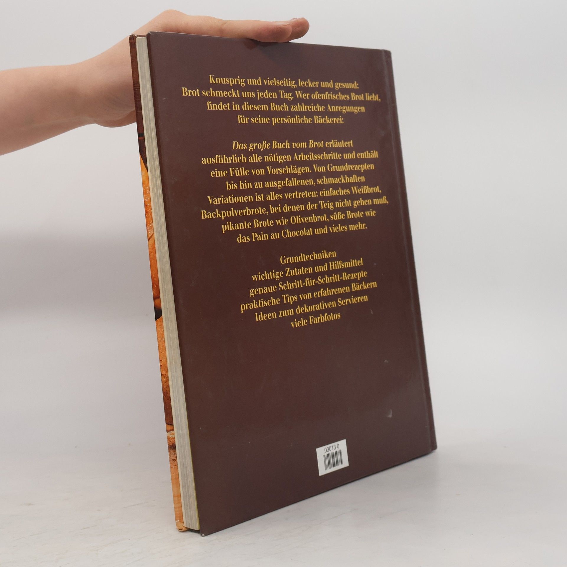 Rosemary Moon Das Große Buch vom Brot