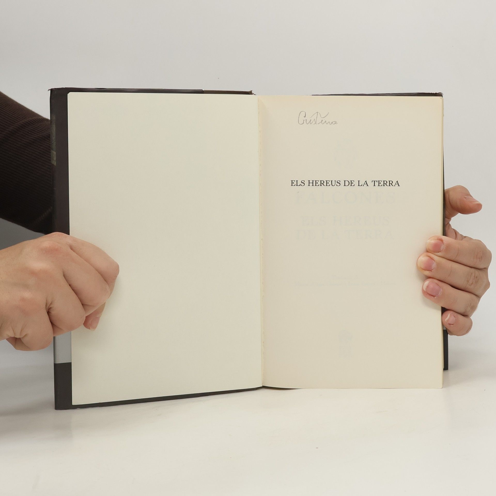 Ildefonso Falcones L'Església del Mar: Els hereus de la terra