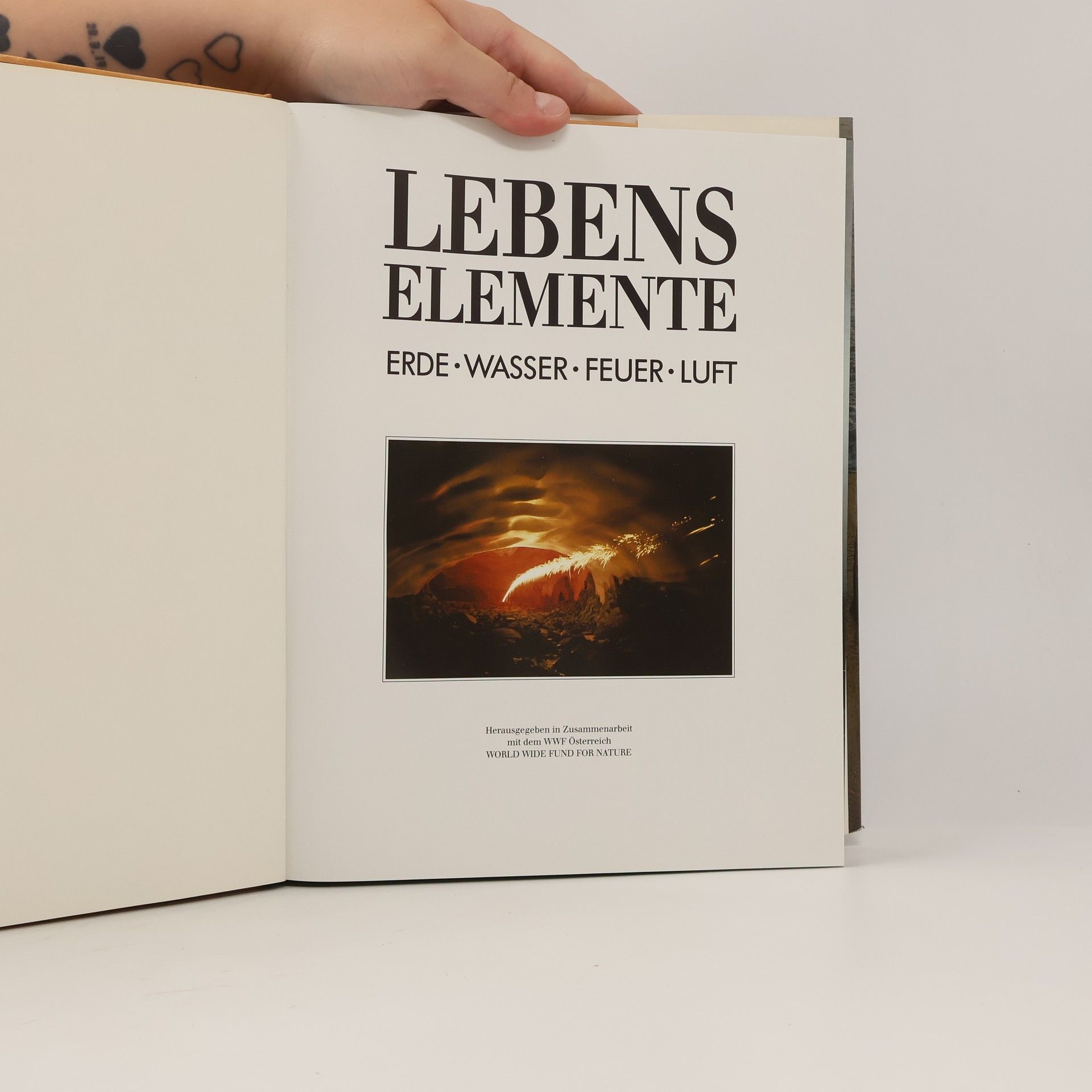 Kolektiv autorů Lebens Elemente
