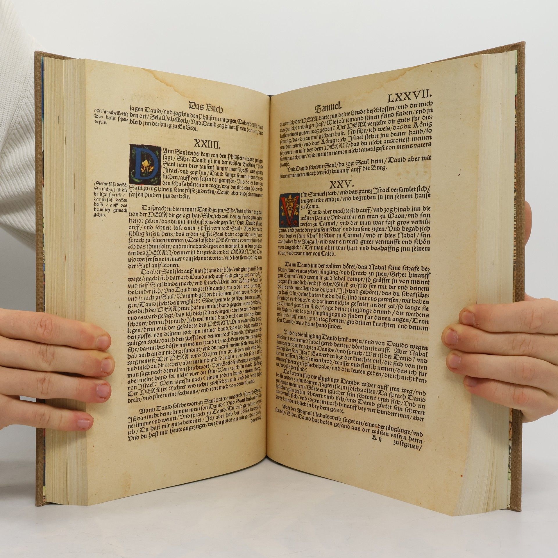 Martin Luther Biblia I.