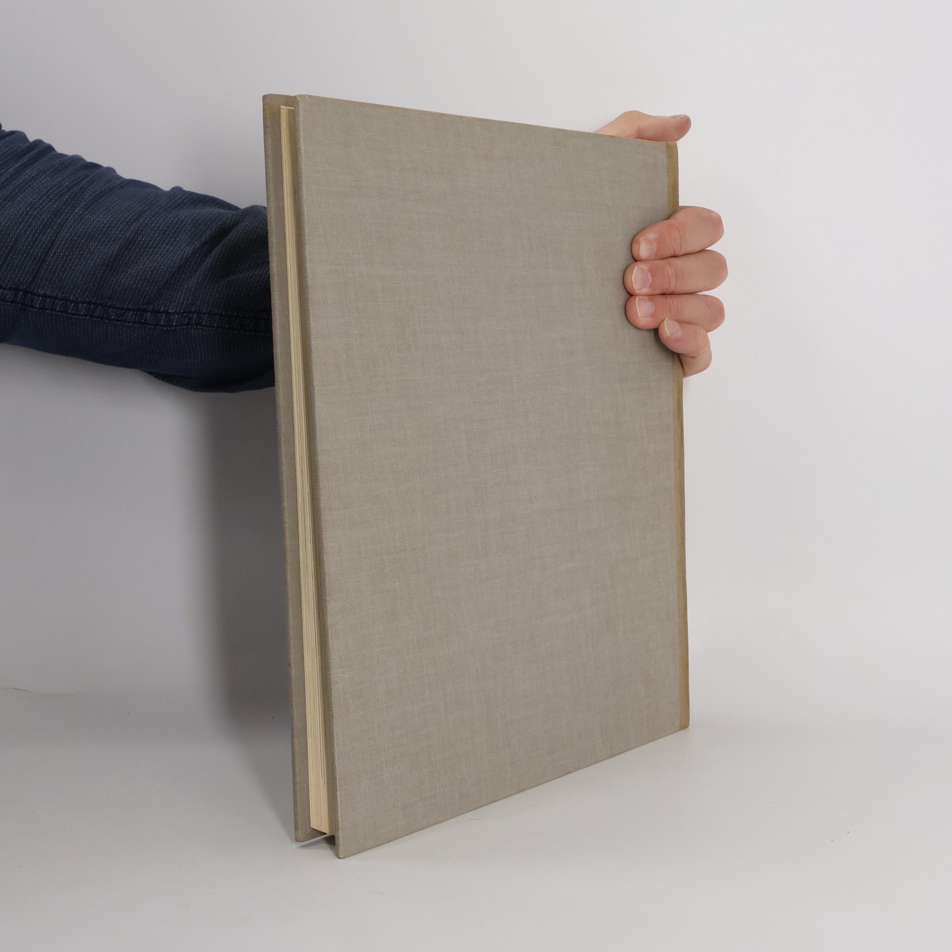 Various authors Enciclopedia Capire 8