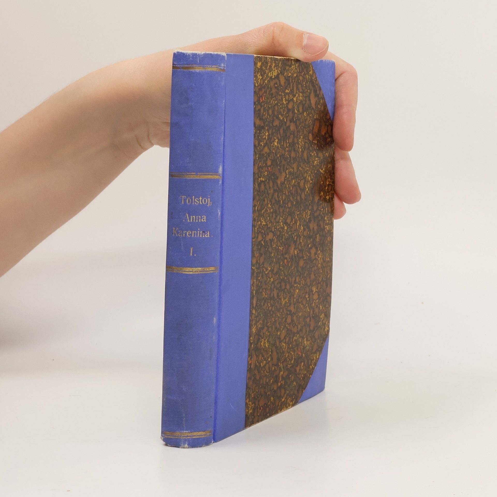 Lew Nikolajewitsch Tolstoi Anna Karenina 1