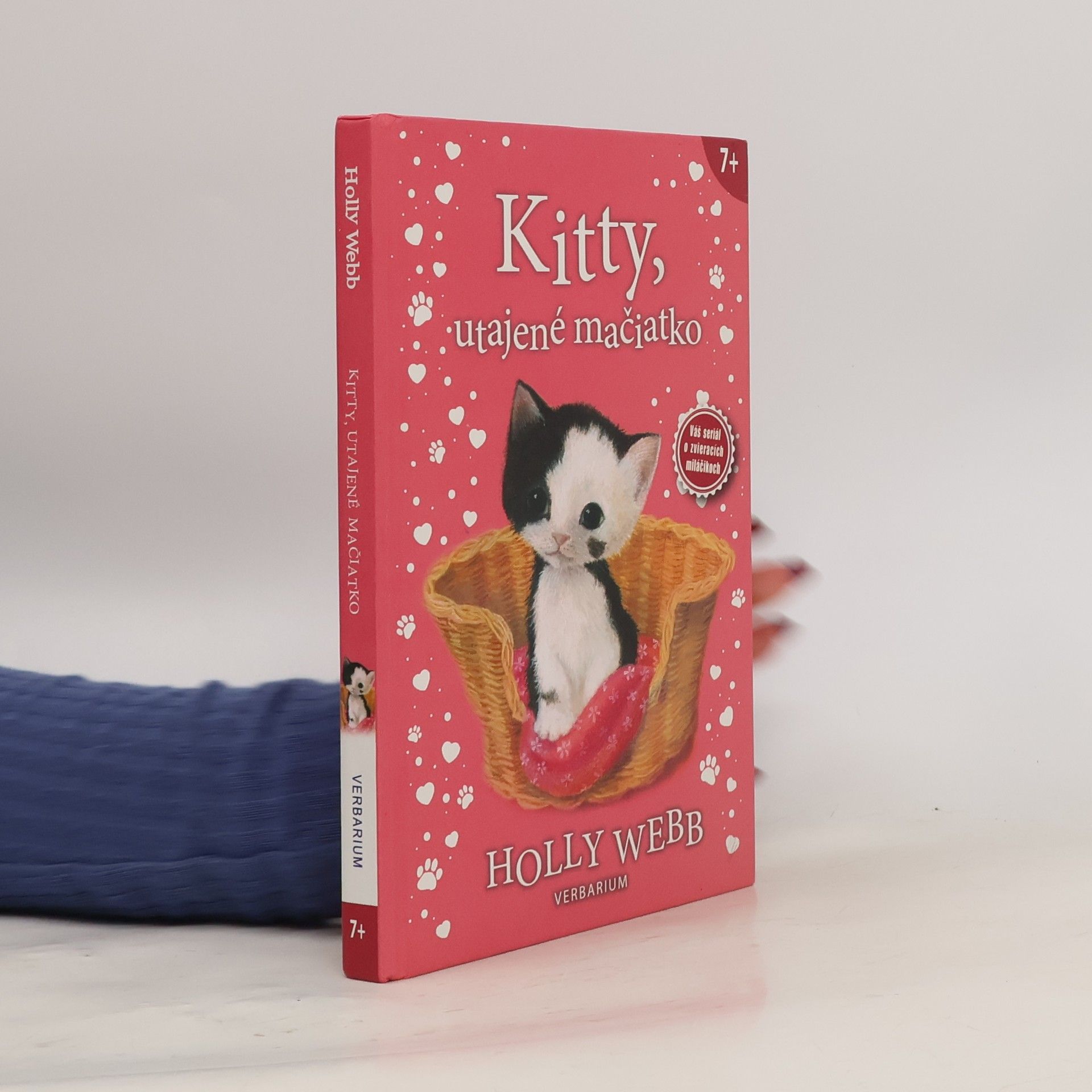 Holly Webb Kitty, utajené mačiatko
