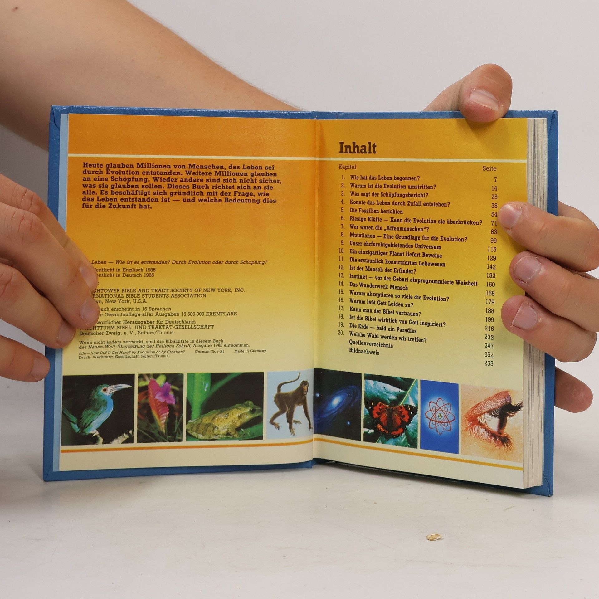 Autorenkollektiv Das Leben - Wie ist es entstanden?