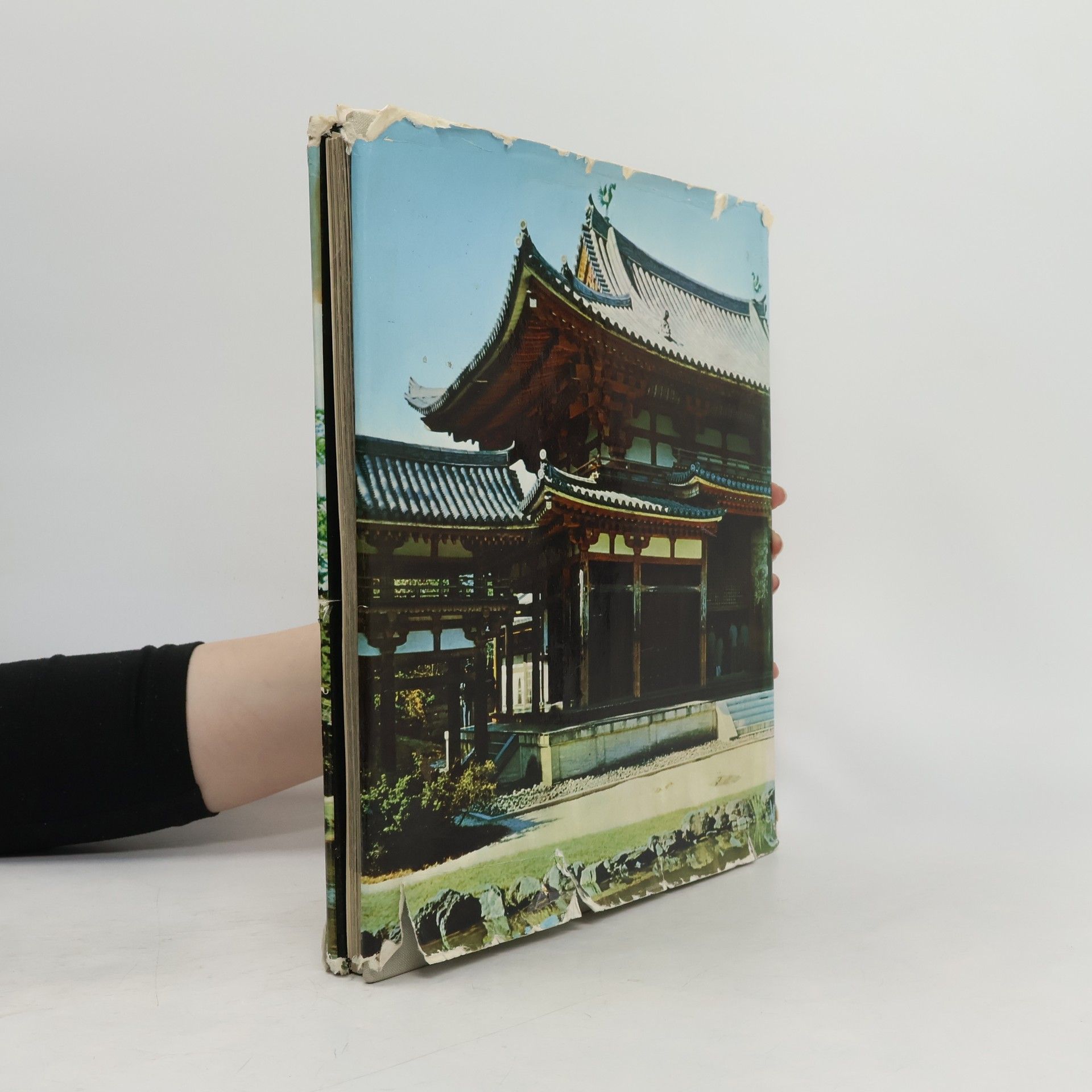 Drahomír Illík Japonská architektura