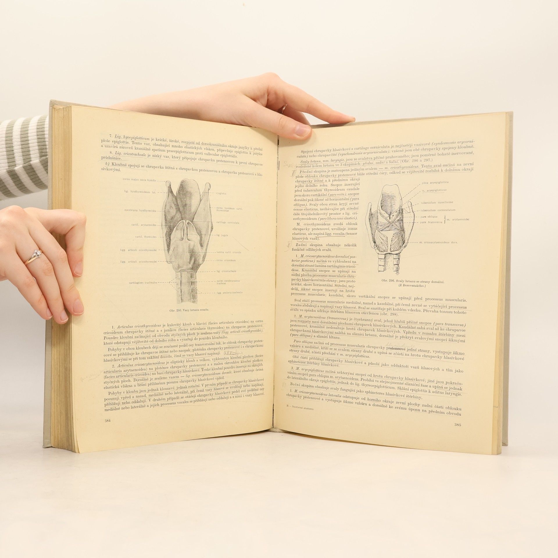 Kolektiv autorů Soustavná anatomie člověka I.