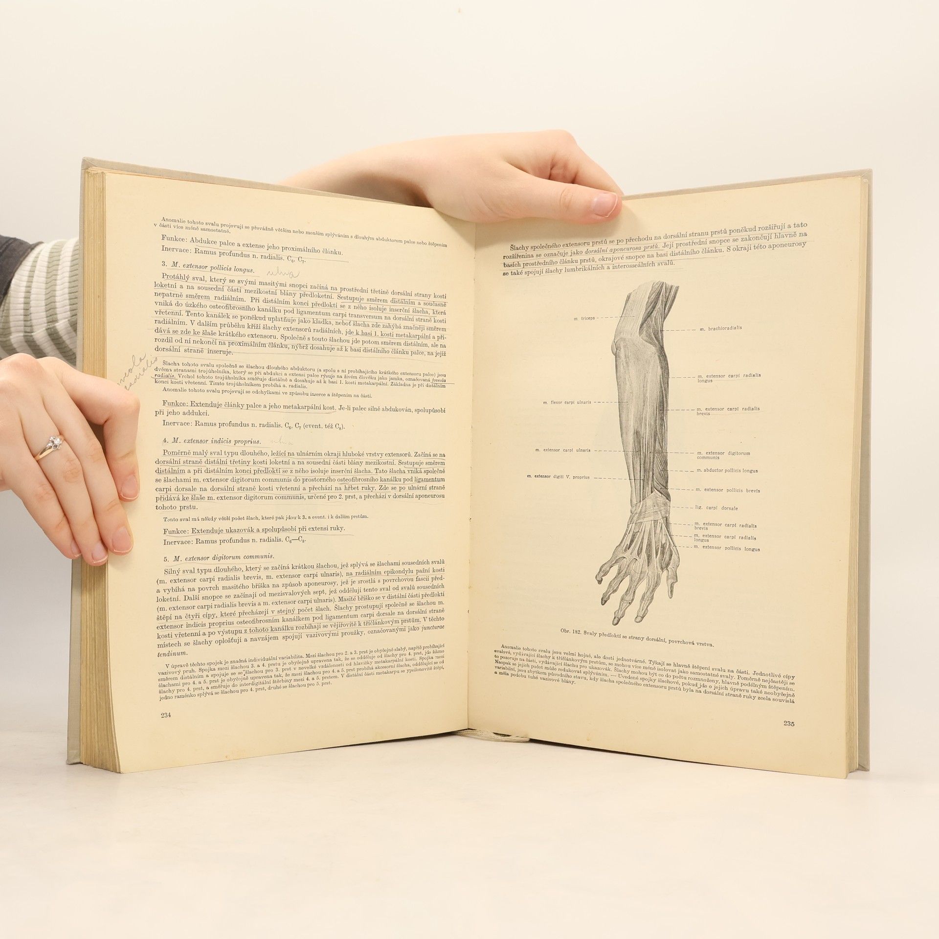 Kolektiv autorů Soustavná anatomie člověka I.