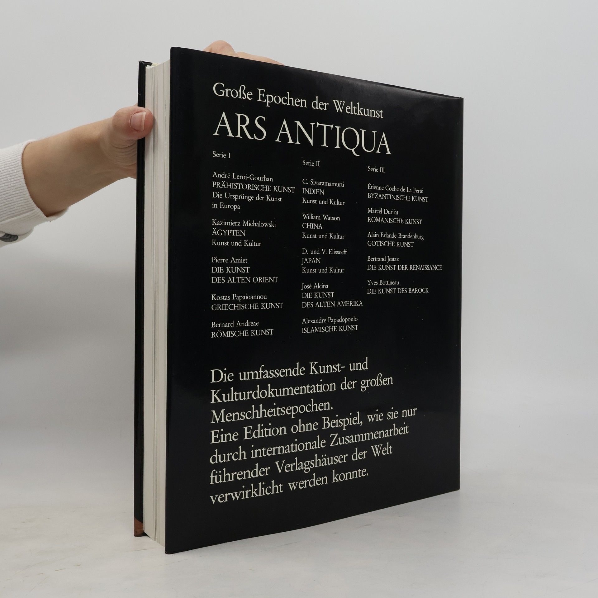 Alain Erlande-Brandenburg Gotische Kunst