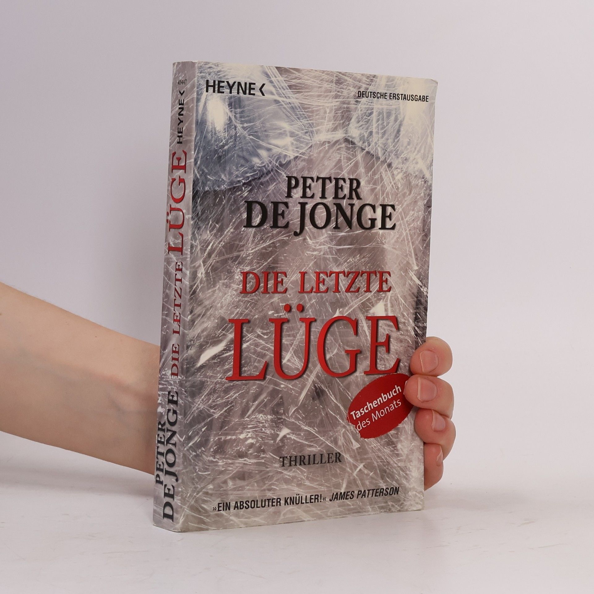 Peter de Jonge Die letzte Lüge. Thriller