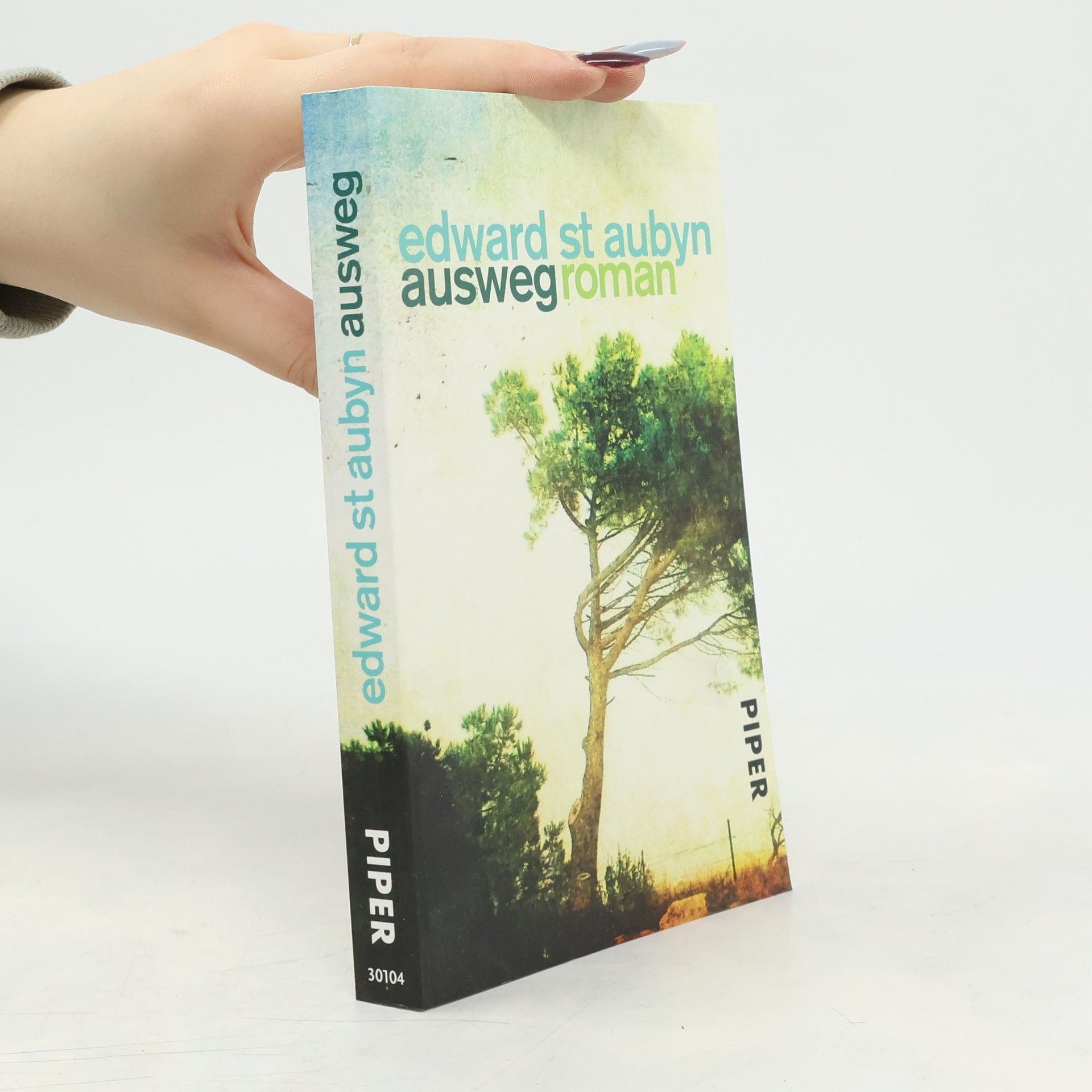 Edward St Aubyn Ausweg