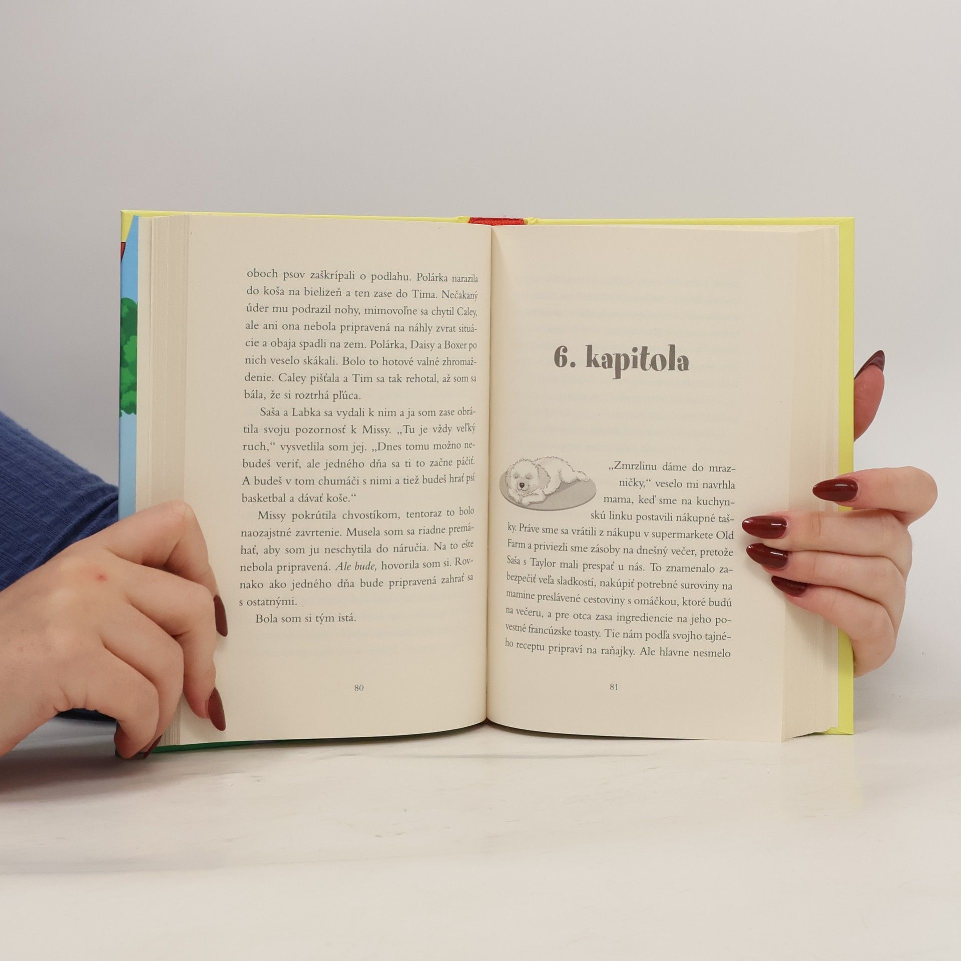 Daphne Maple Psie záchranárky: Šteniatko pre šťastie