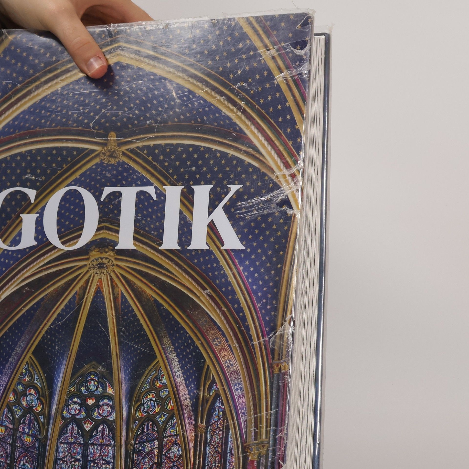 Achim Bednorz Gotik