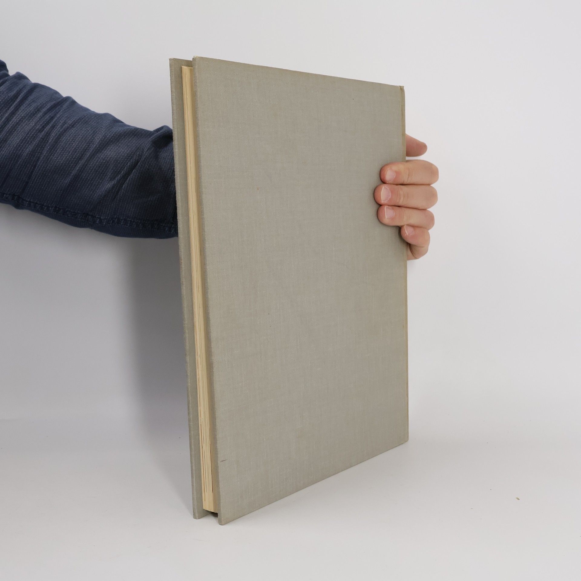 Autorenkollektiv Enciclopedia Capire 2