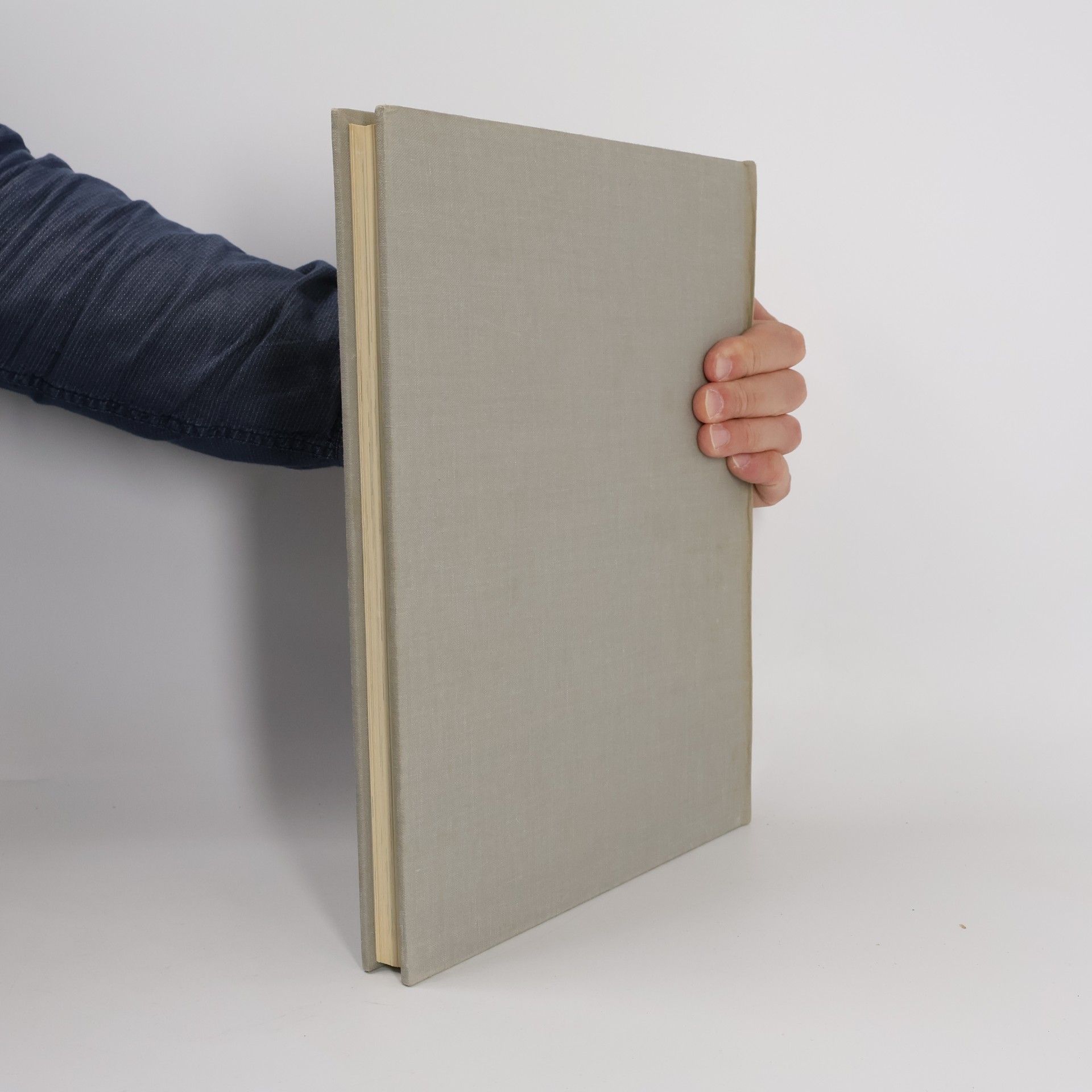 Autorenkollektiv Enciclopedia Capire 4 - Inserti