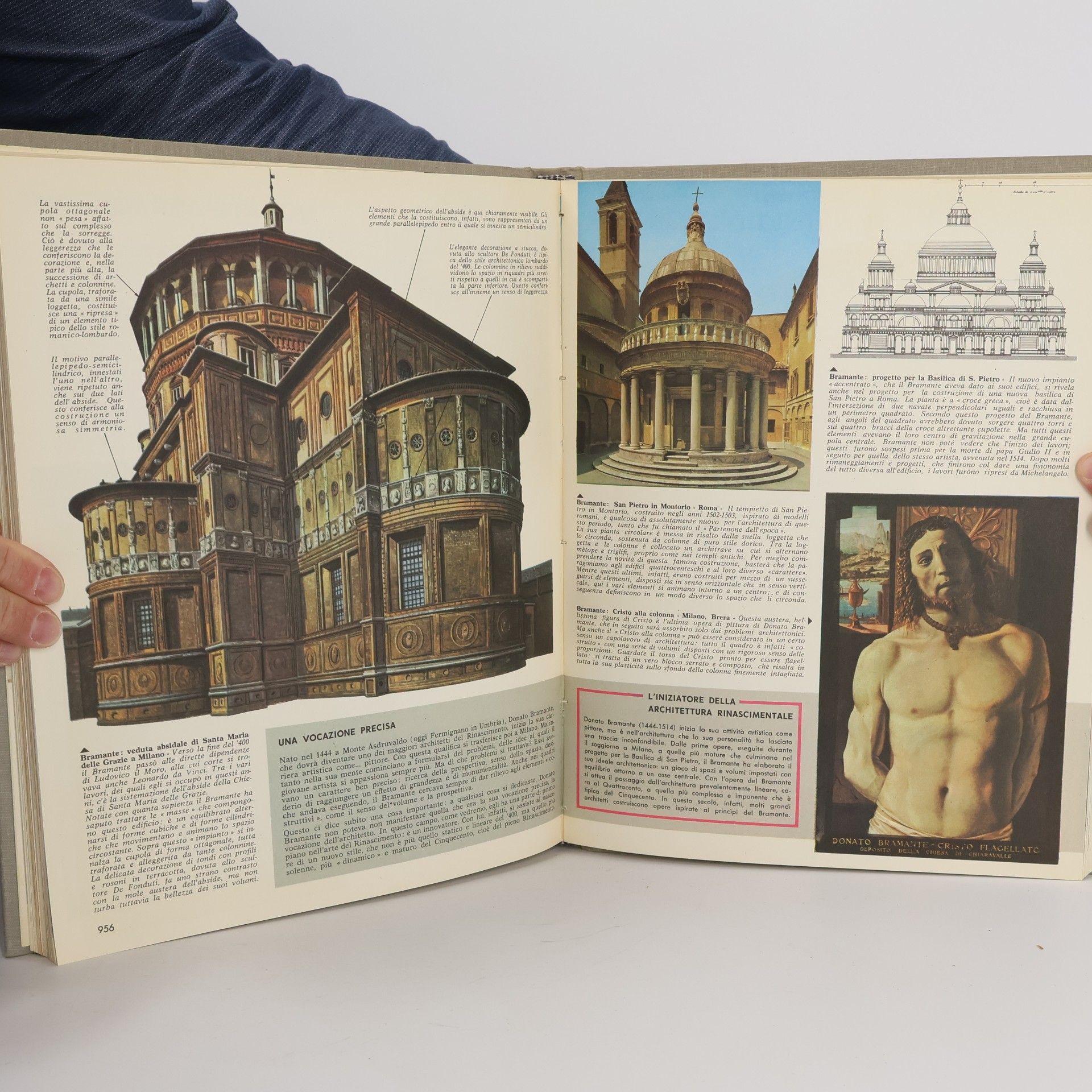 Various authors Enciclopedia Capire 5