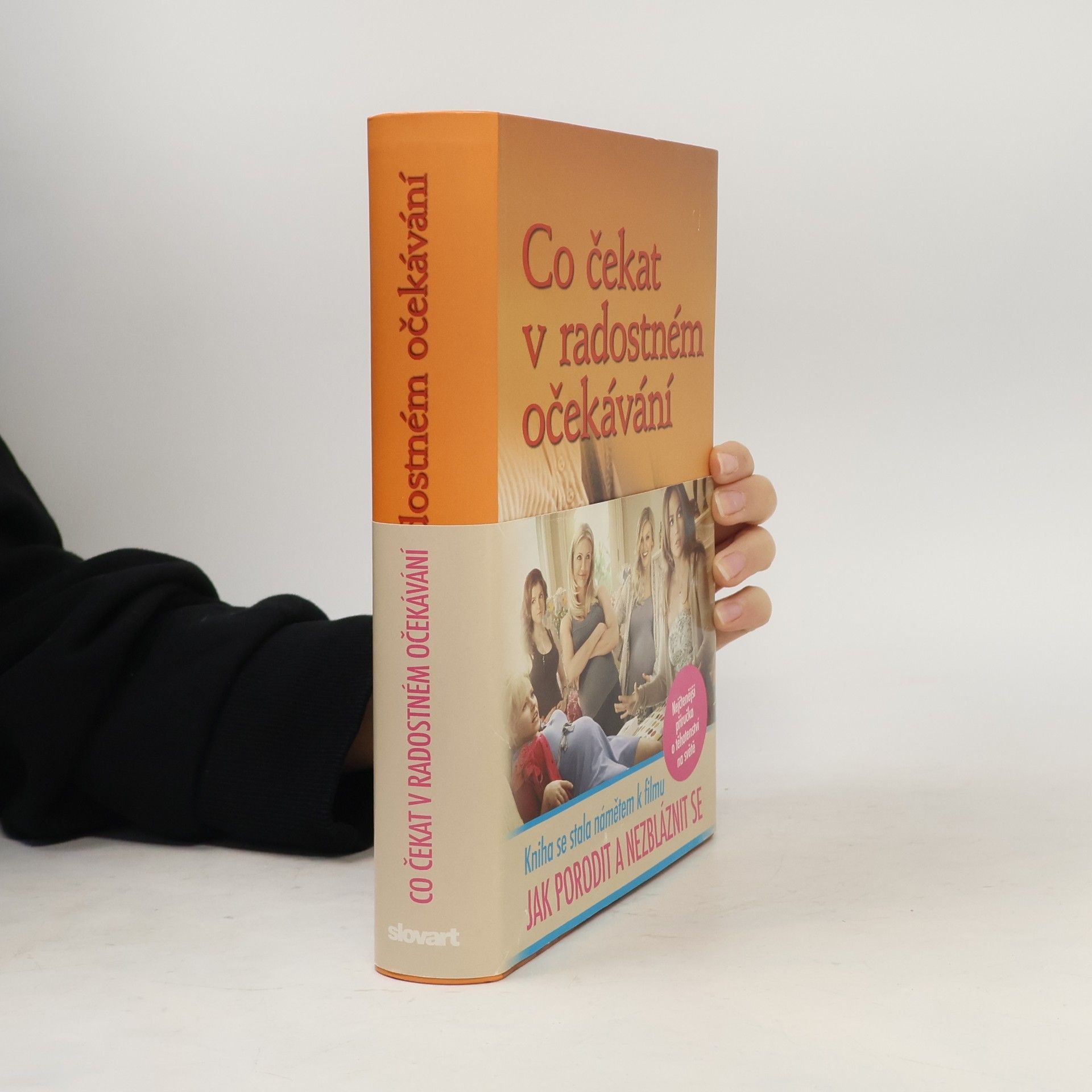 Heidi Eisenberg Murkoff Co čekat v radostném očekávání