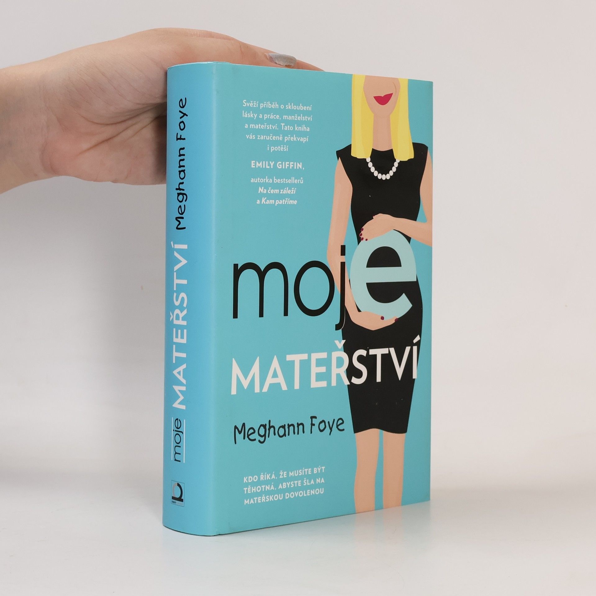Meghann Foye Moje mateřství