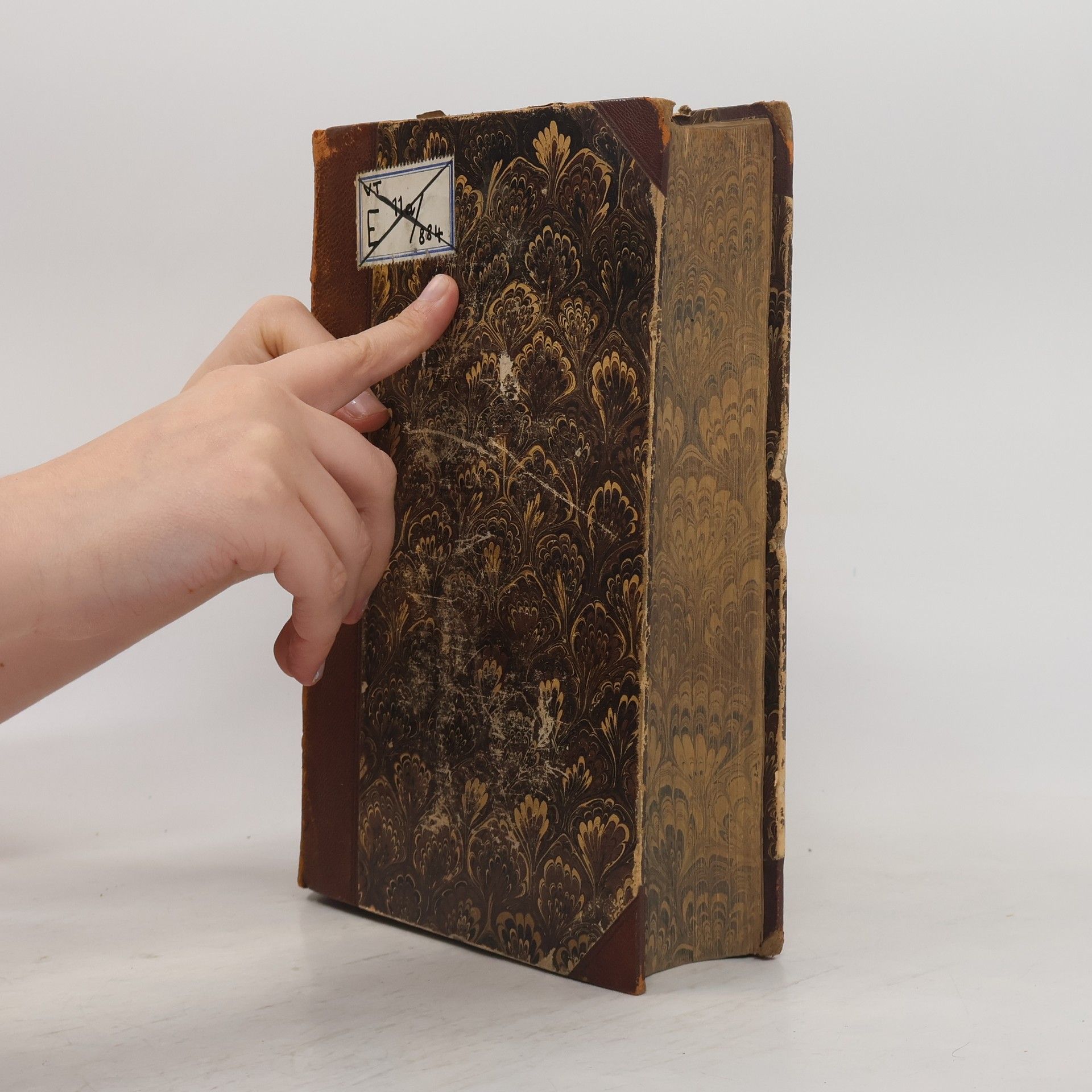Johann Baptist Panholzer Biblische Geschichte I. Das Alte Testament