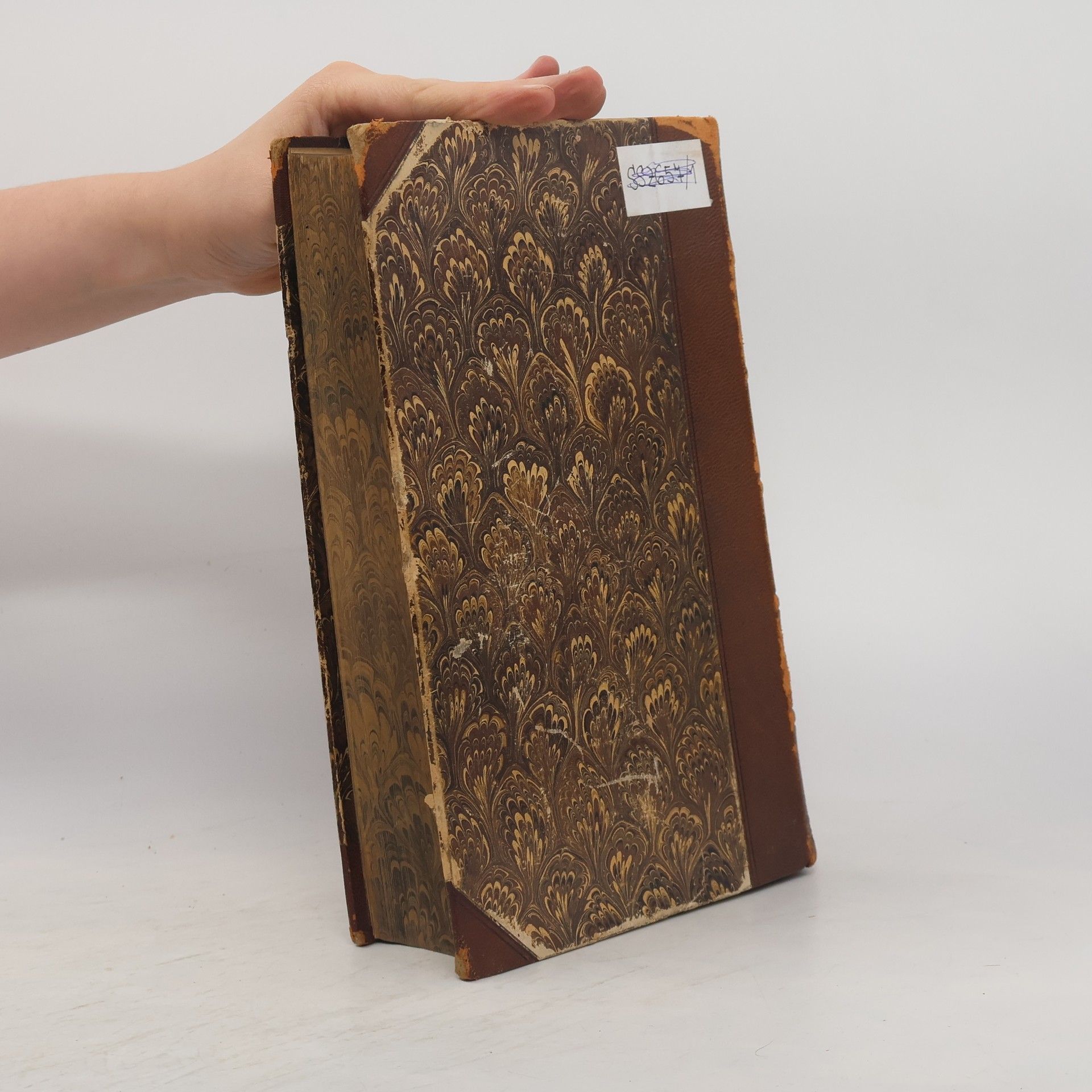 Johann Baptist Panholzer Biblische Geschichte I. Das Alte Testament