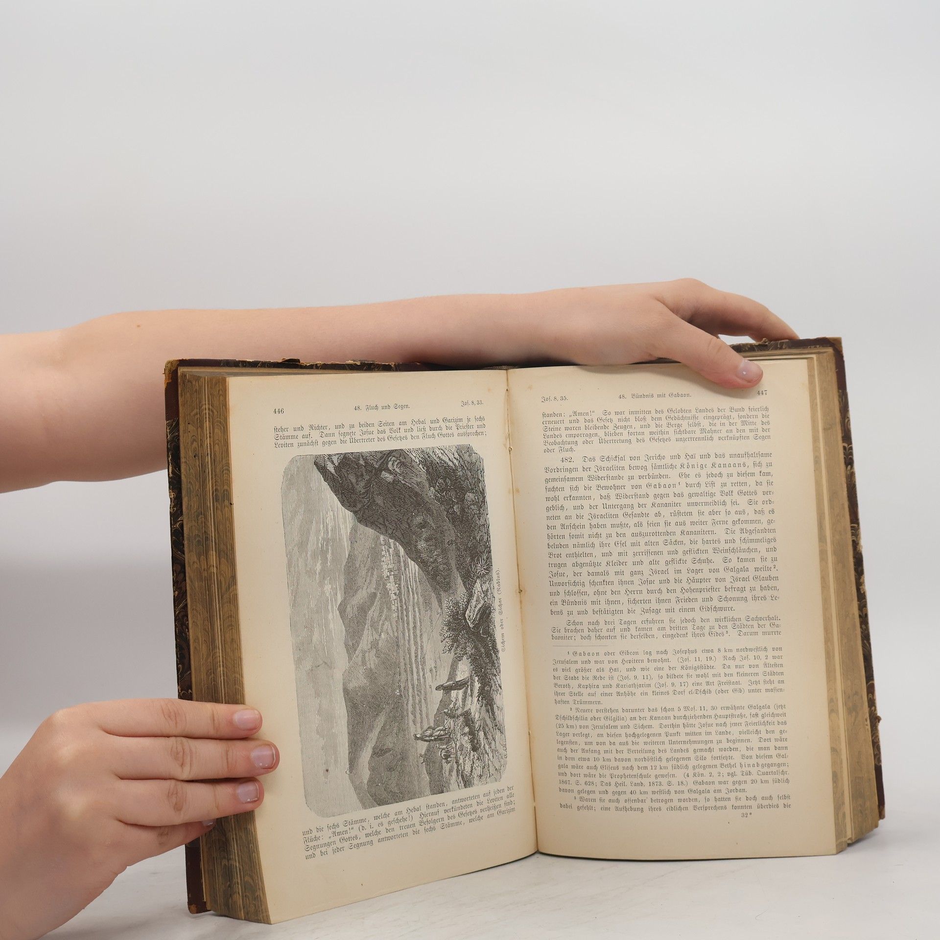 Johann Baptist Panholzer Biblische Geschichte I. Das Alte Testament