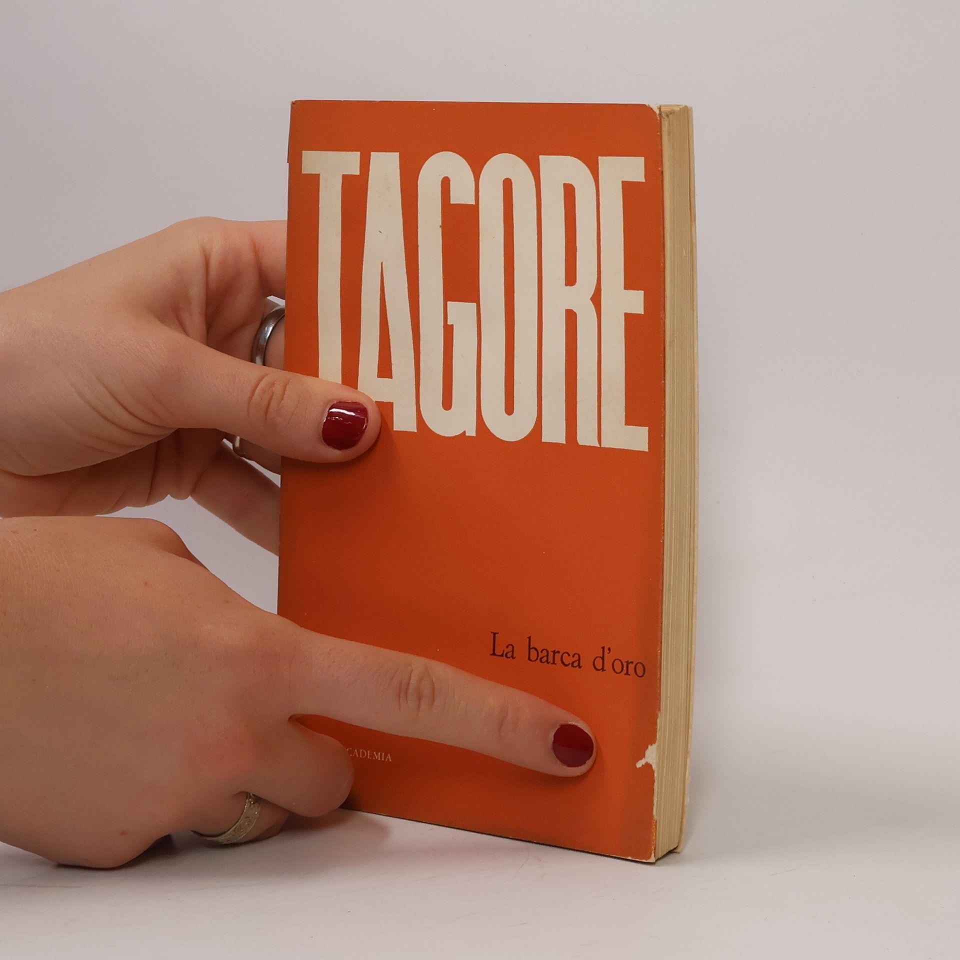 Rabindranath Tagore La barca d'oro