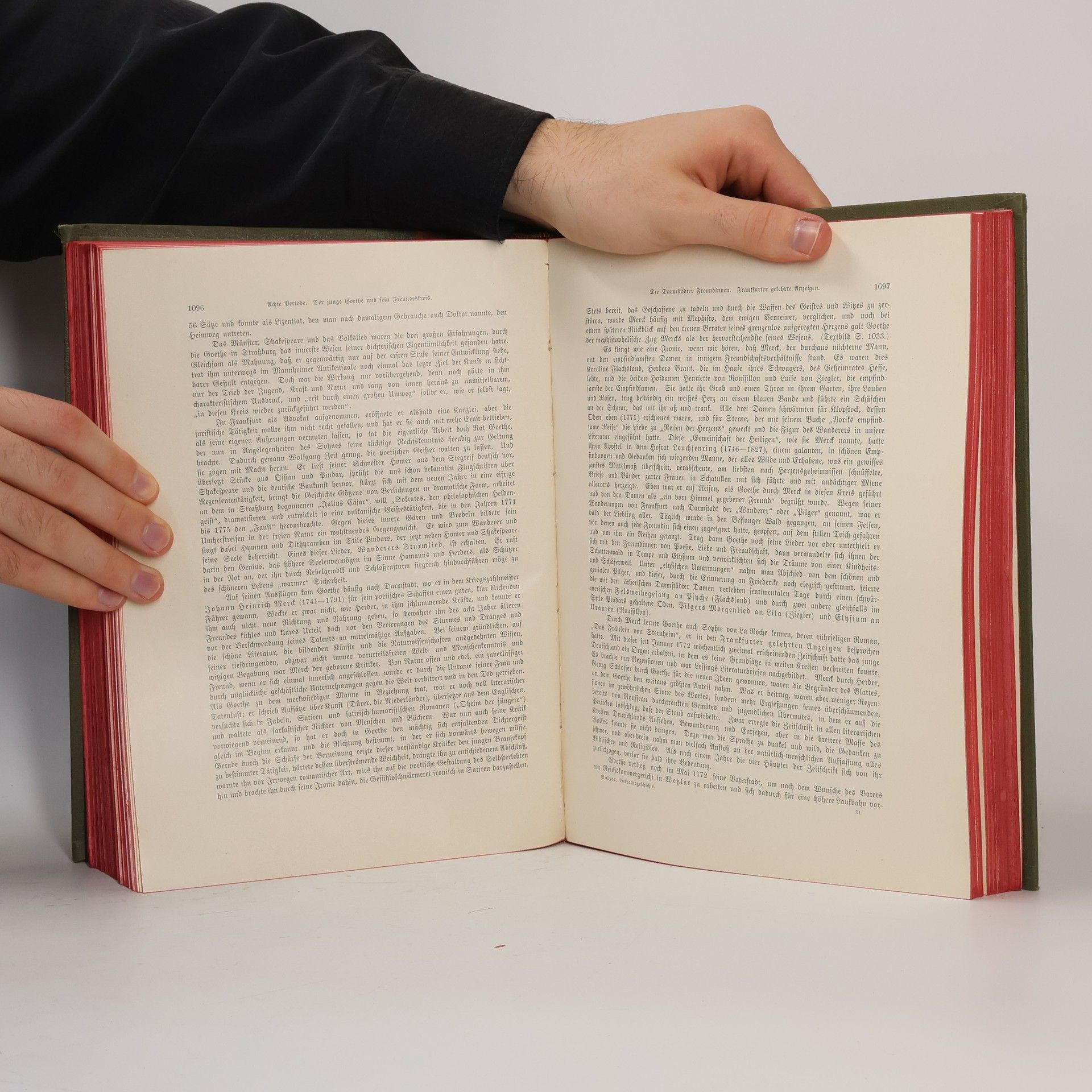 Professor Dr. Anselm Salszer Illustrierte Geschichte der Deutschen Literatur von den ältesten Zeiten bis zur Gegenwart Band II.