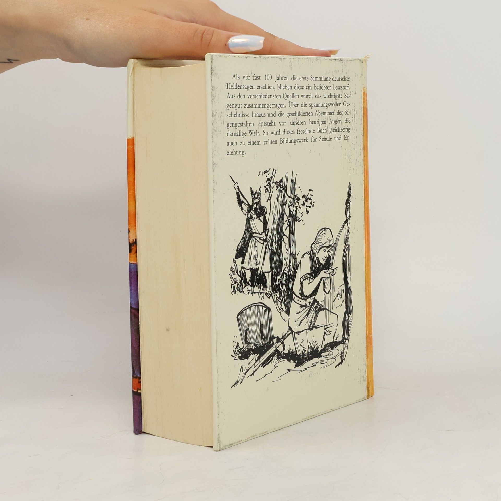 Kolektiv autorů Die Nibelungen und andere Deutsche Heldensagen