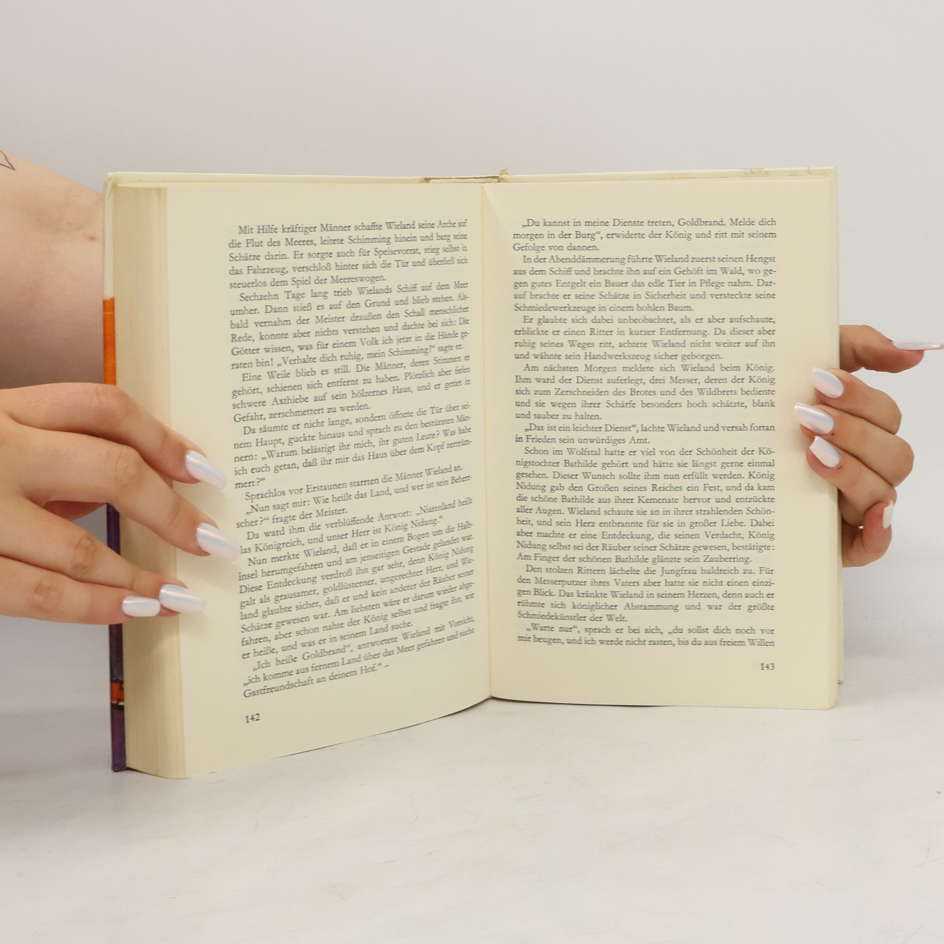 Kolektiv autorů Die Nibelungen und andere Deutsche Heldensagen