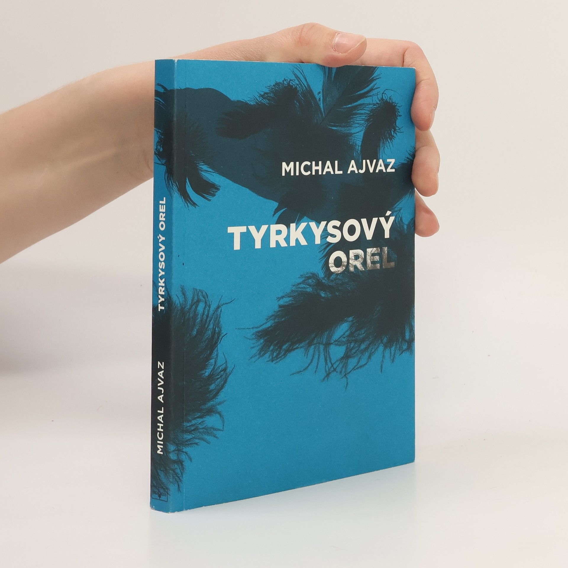 Michal Ajvaz Tyrkysový orel
