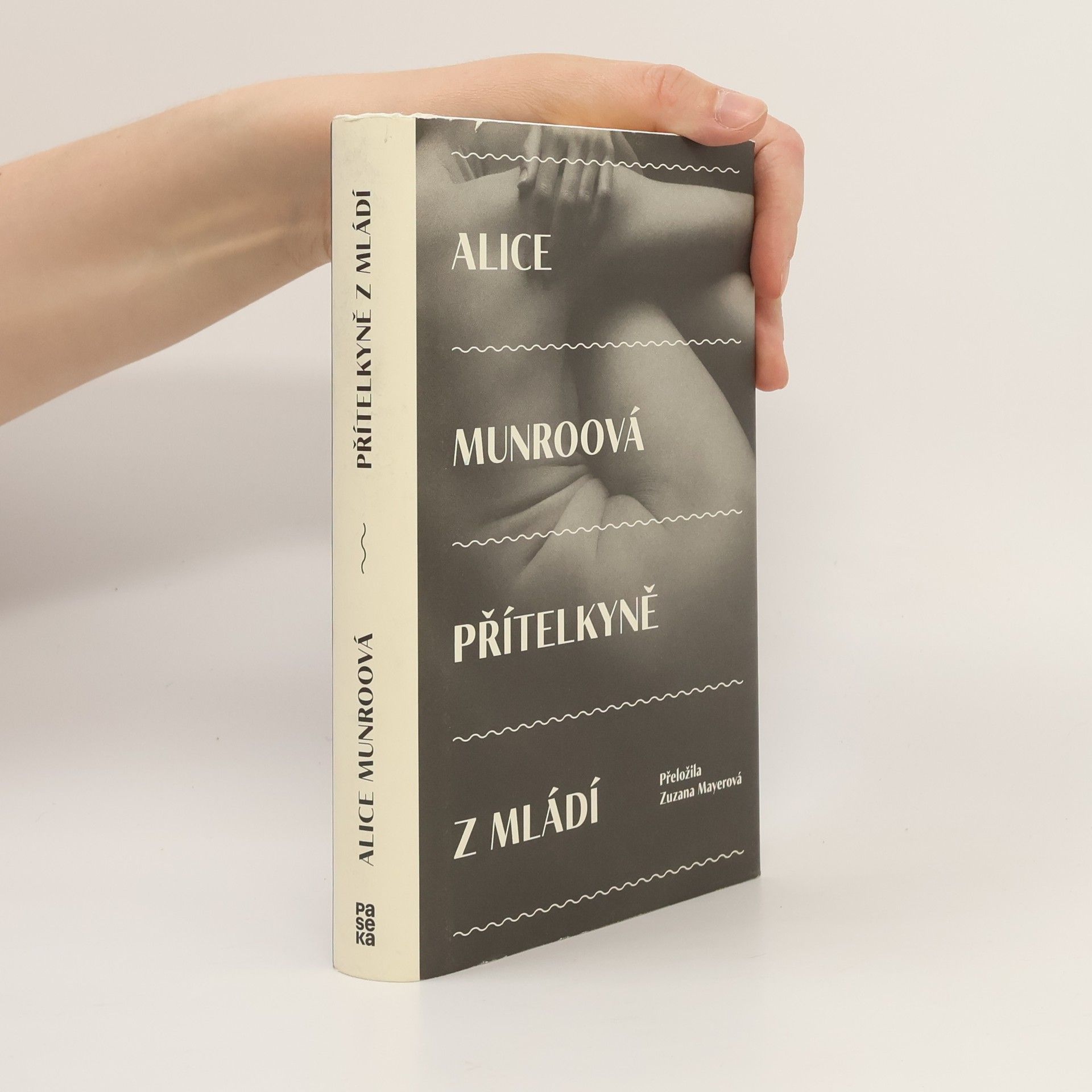 Alice Munro Přítelkyně z mládí