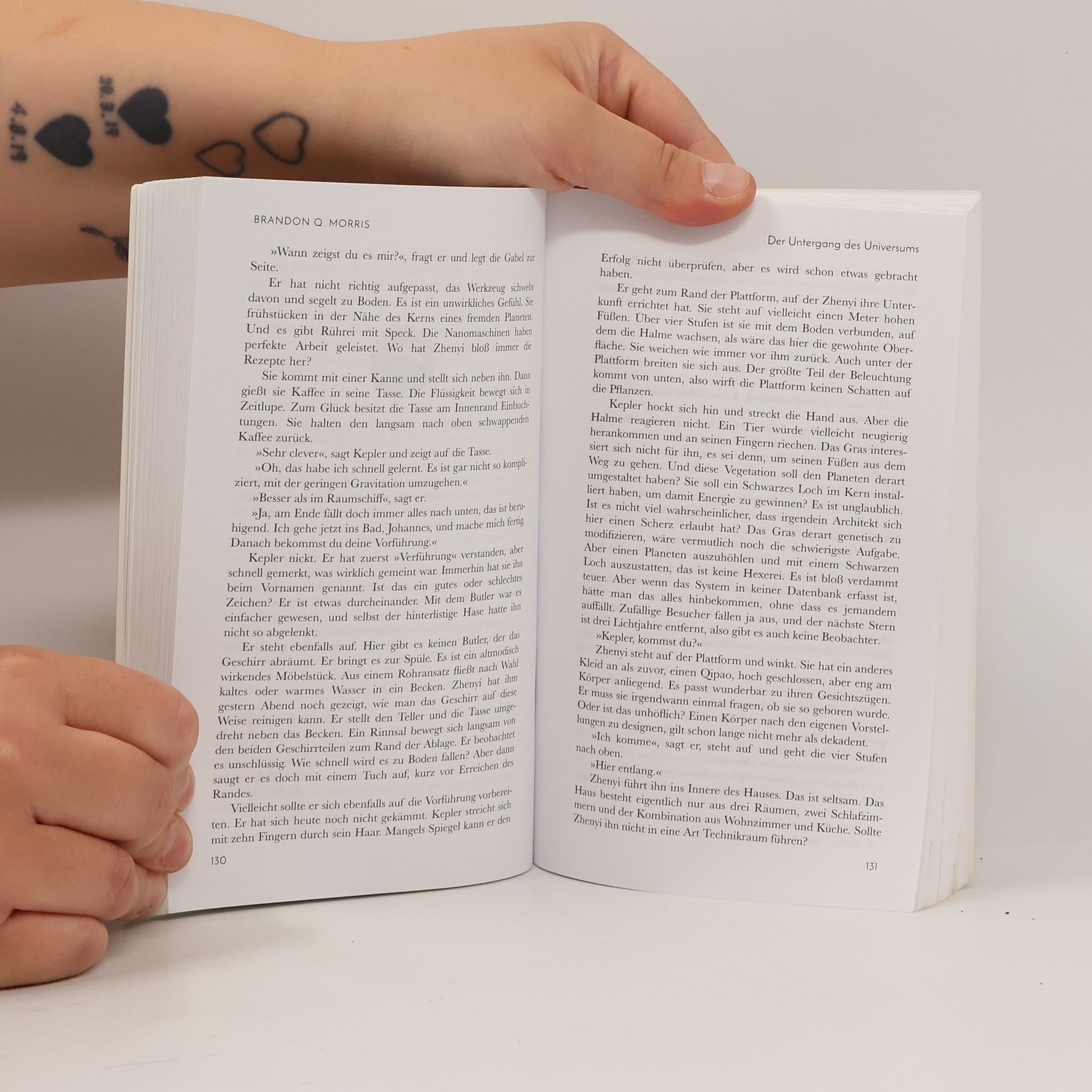 Brandon Q. Morris Der Untergang des Universums