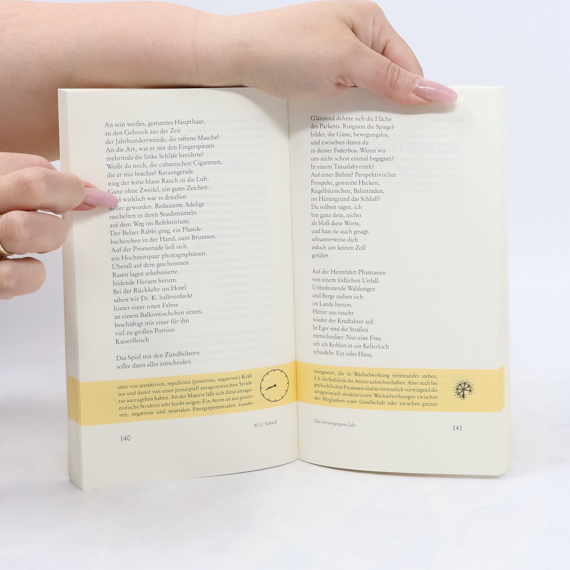 Hans Magnus Enzensberger Der Komet. Almanach der Anderen Bibliothek auf das Jahr 1991