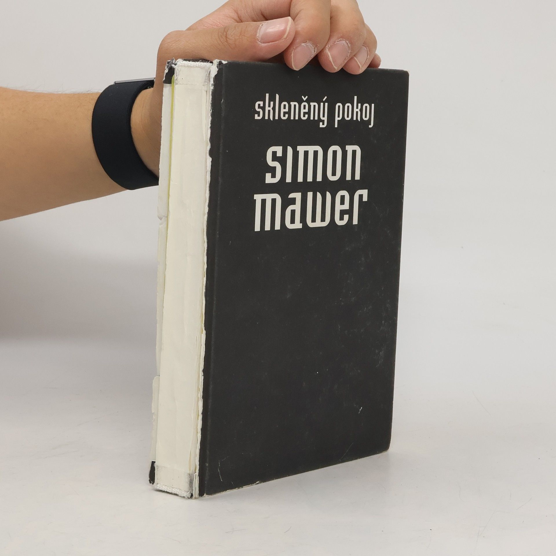 Simon Mawer Skleněný pokoj
