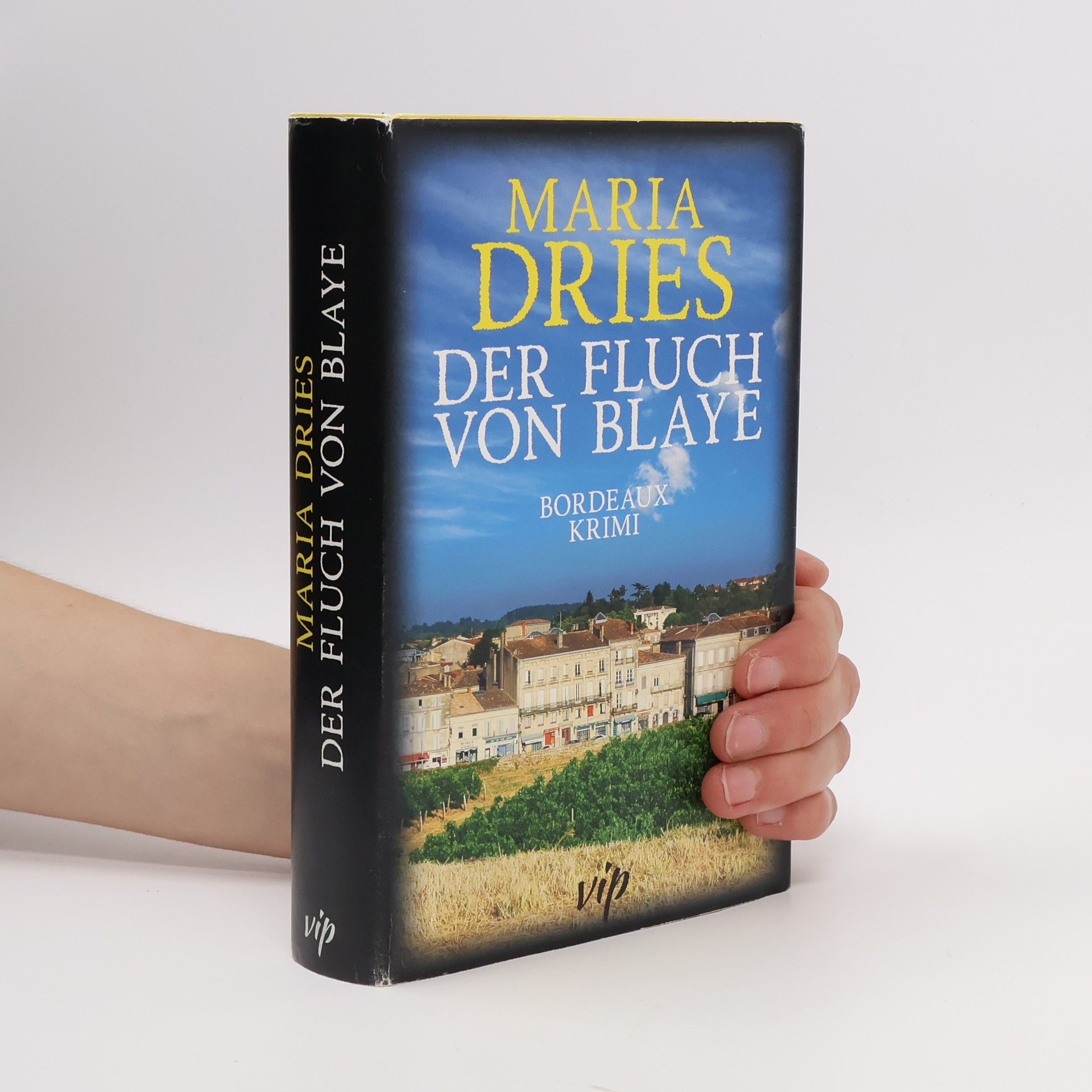 Maria Dries Der Fluch von Blaye