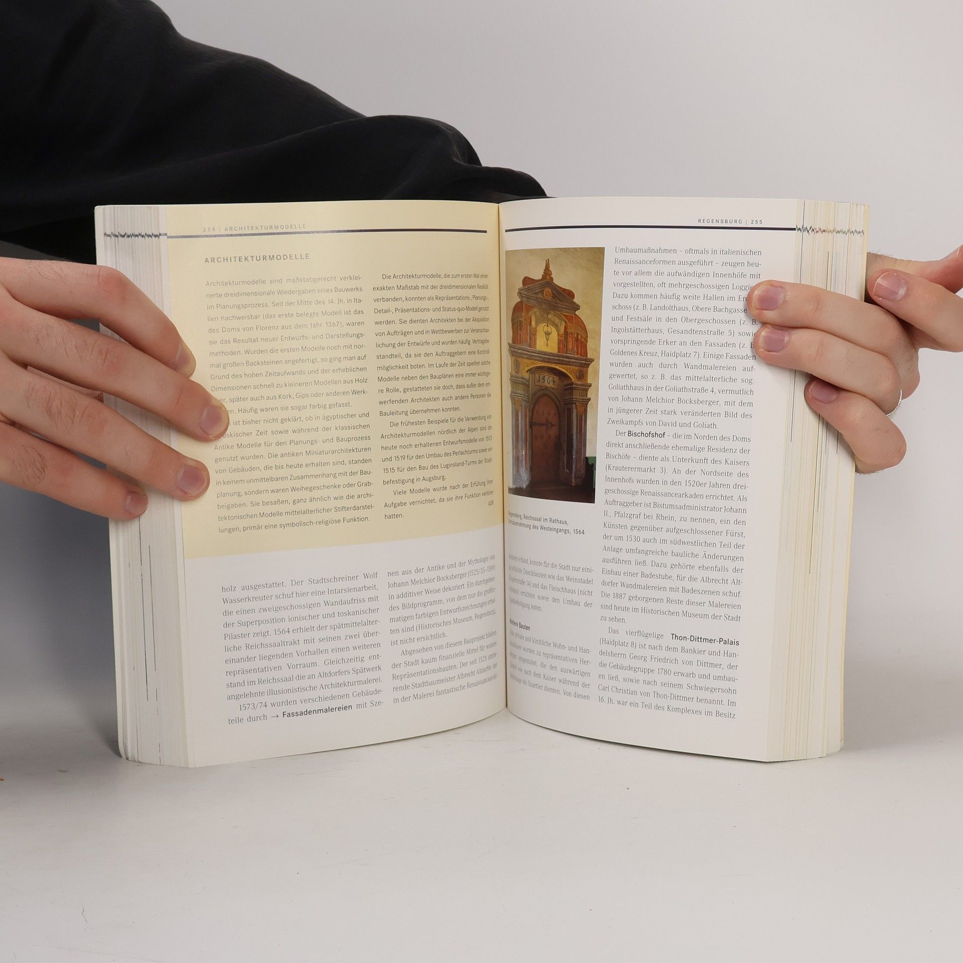 Anne Schunicht-Rawe Handbuch der Renaissance