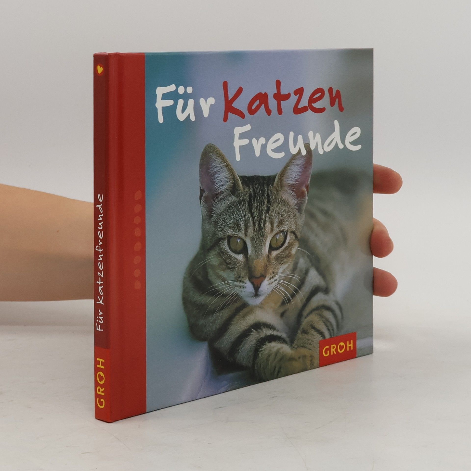 Nina Sandmann Für Katzenfreunde