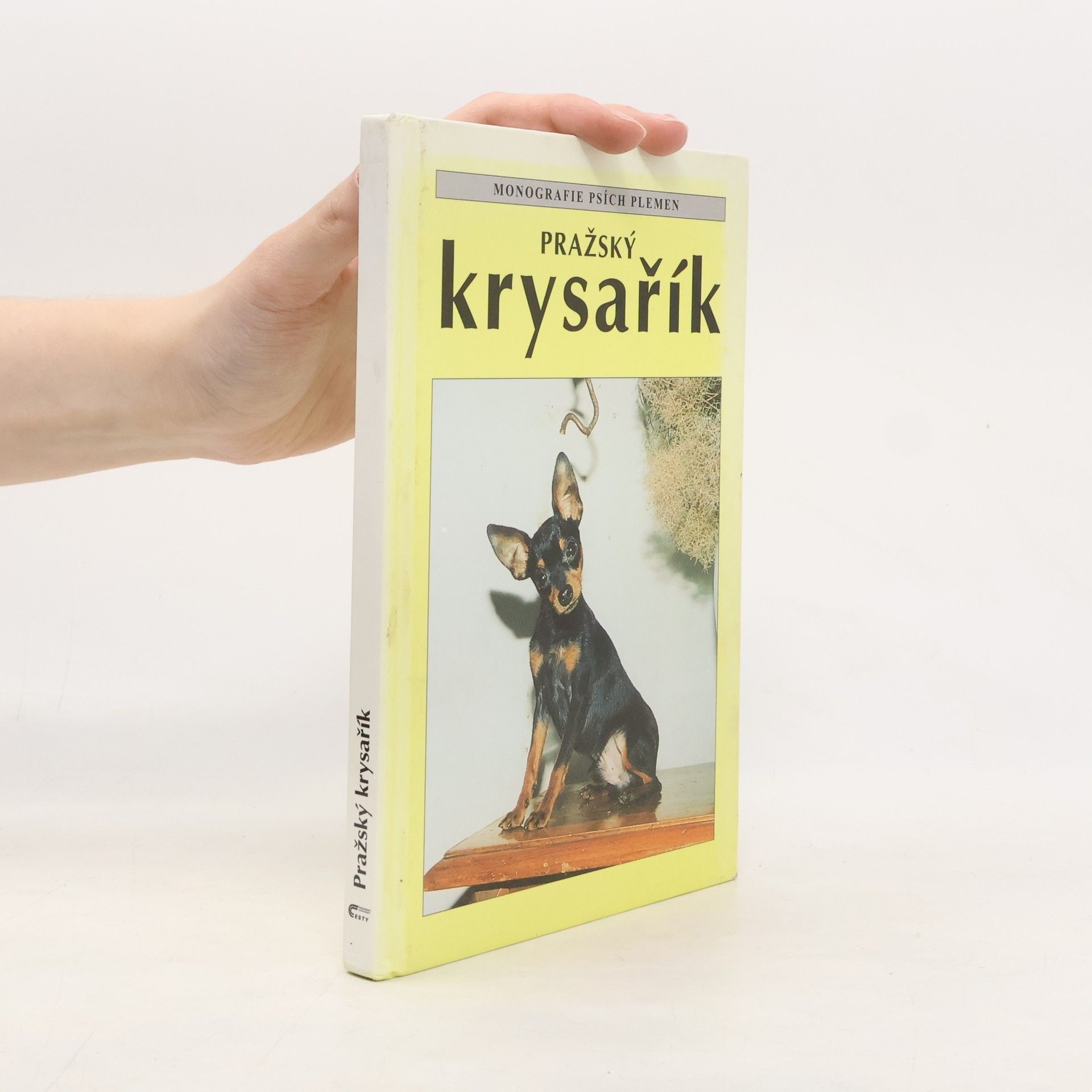 Cyrila Karpfová Pražský krysařík