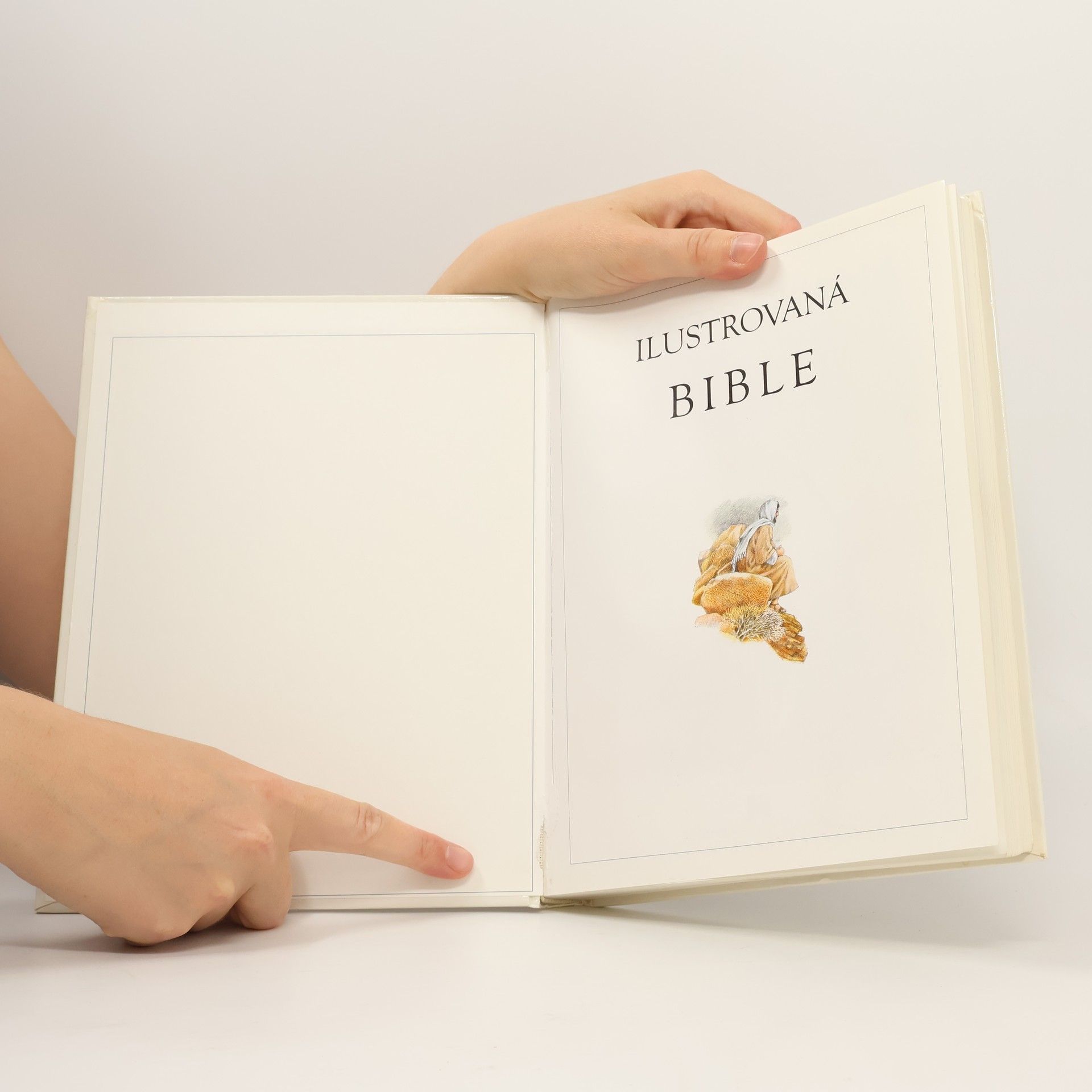Selina Hastings Ilustrovaná bible pro děti