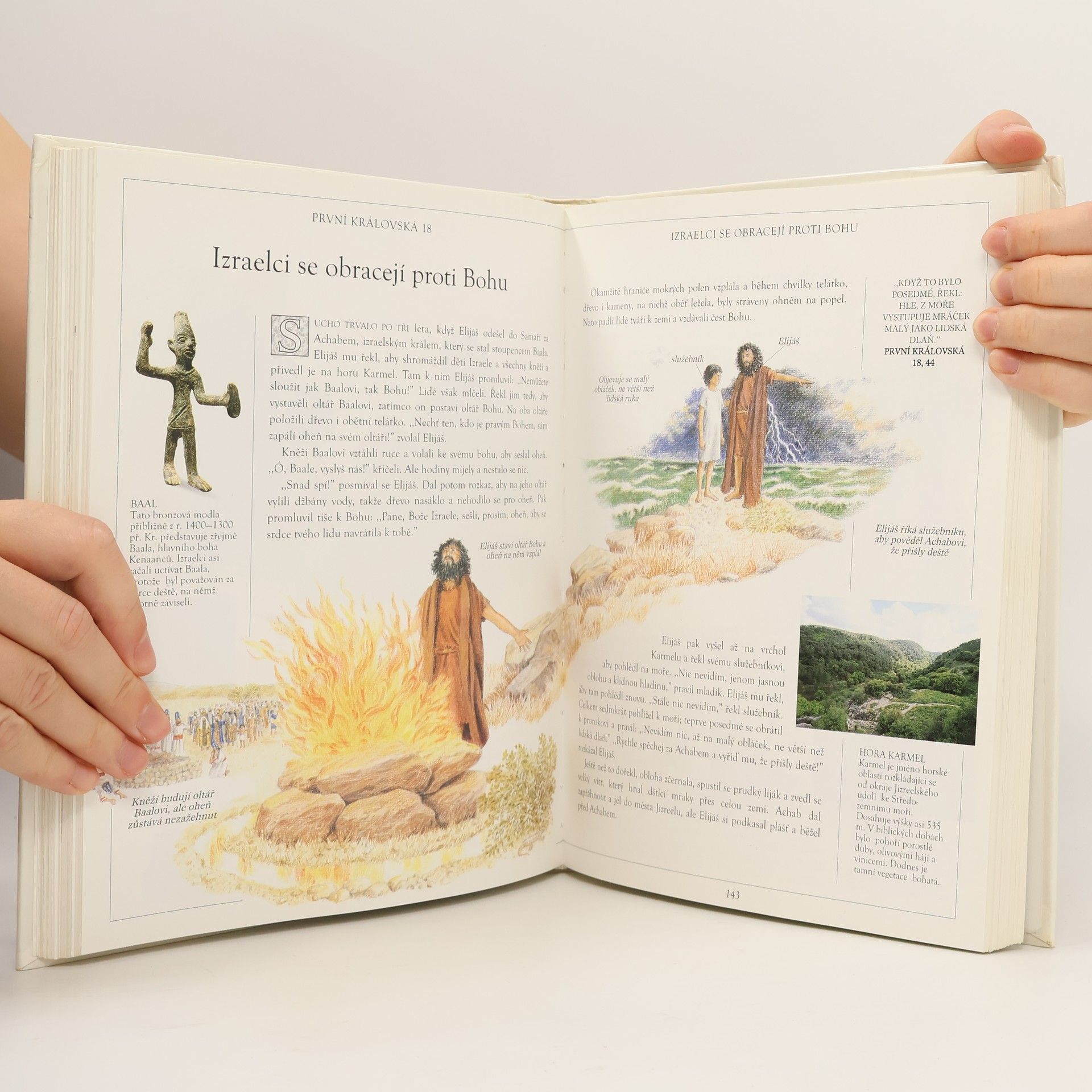 Selina Hastings Ilustrovaná bible pro děti