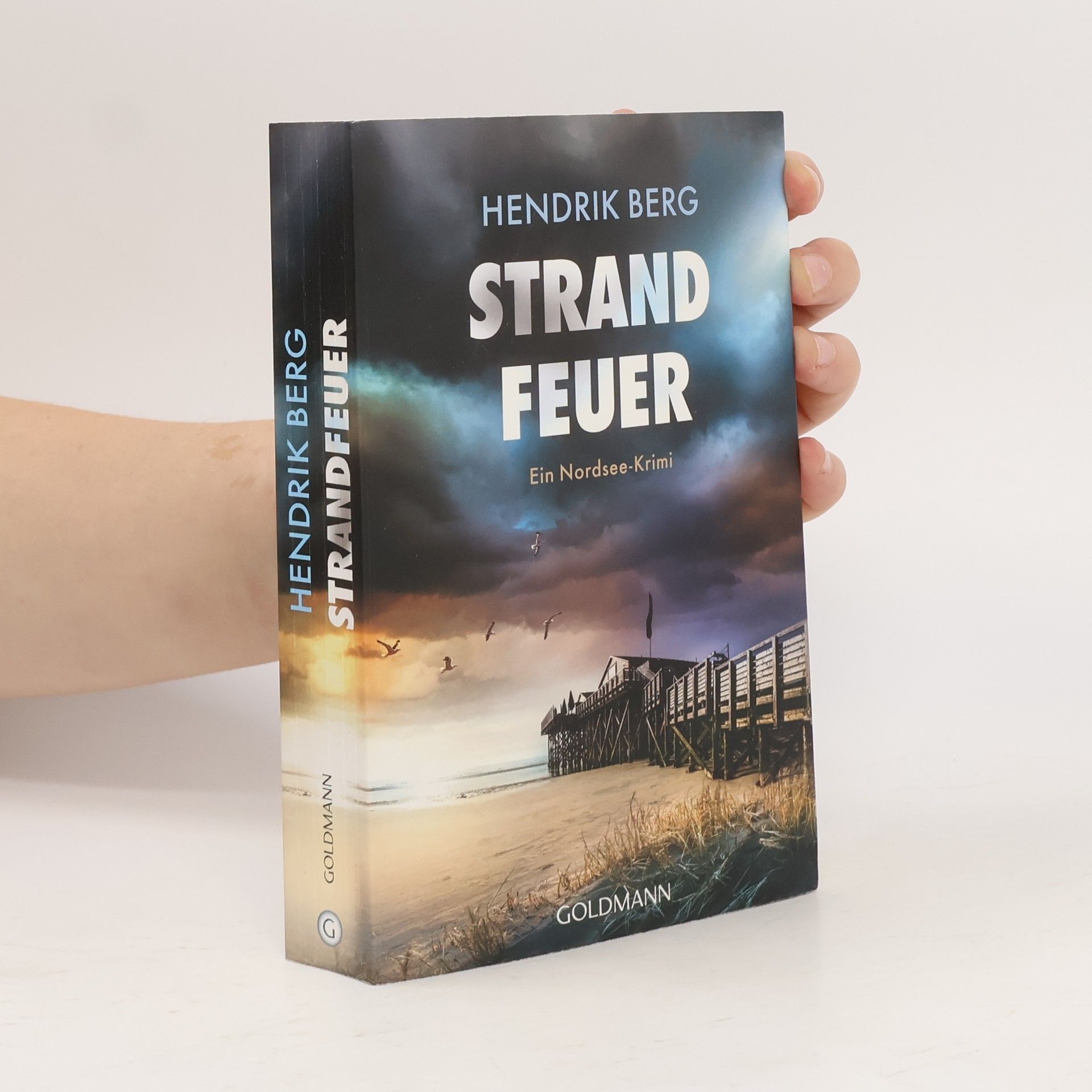 Hendrik Berg Strandfeuer