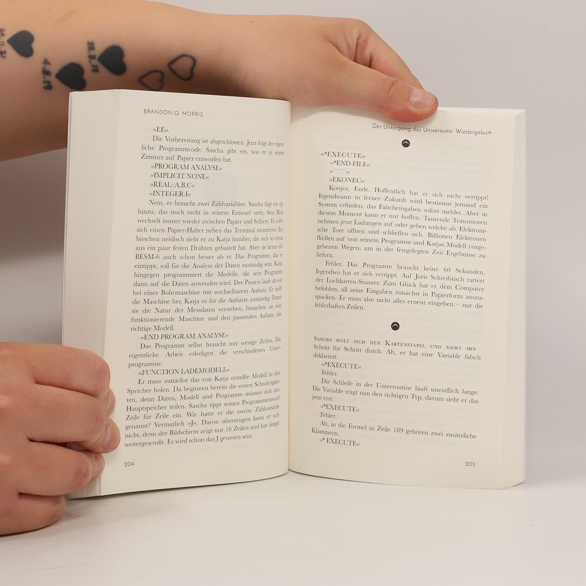 Brandon Q. Morris Der Untergang des Universums