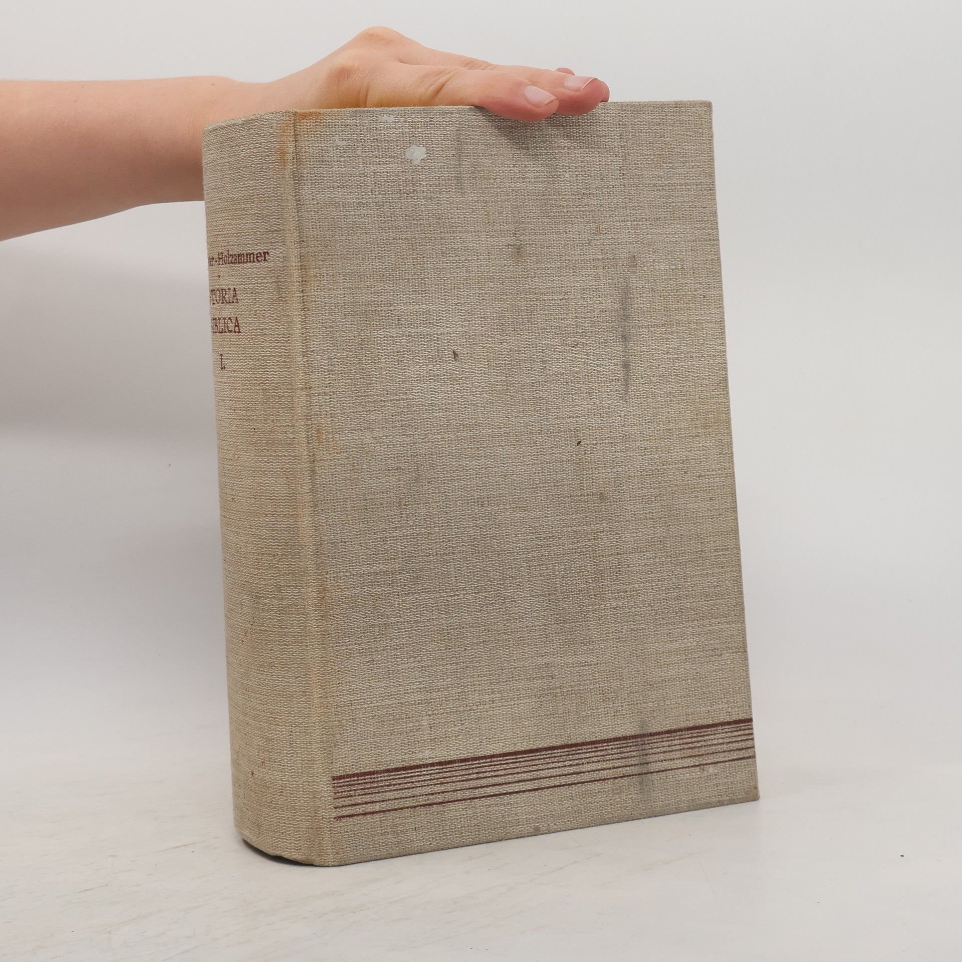 Kolektiv autorů Manuale di storia biblica