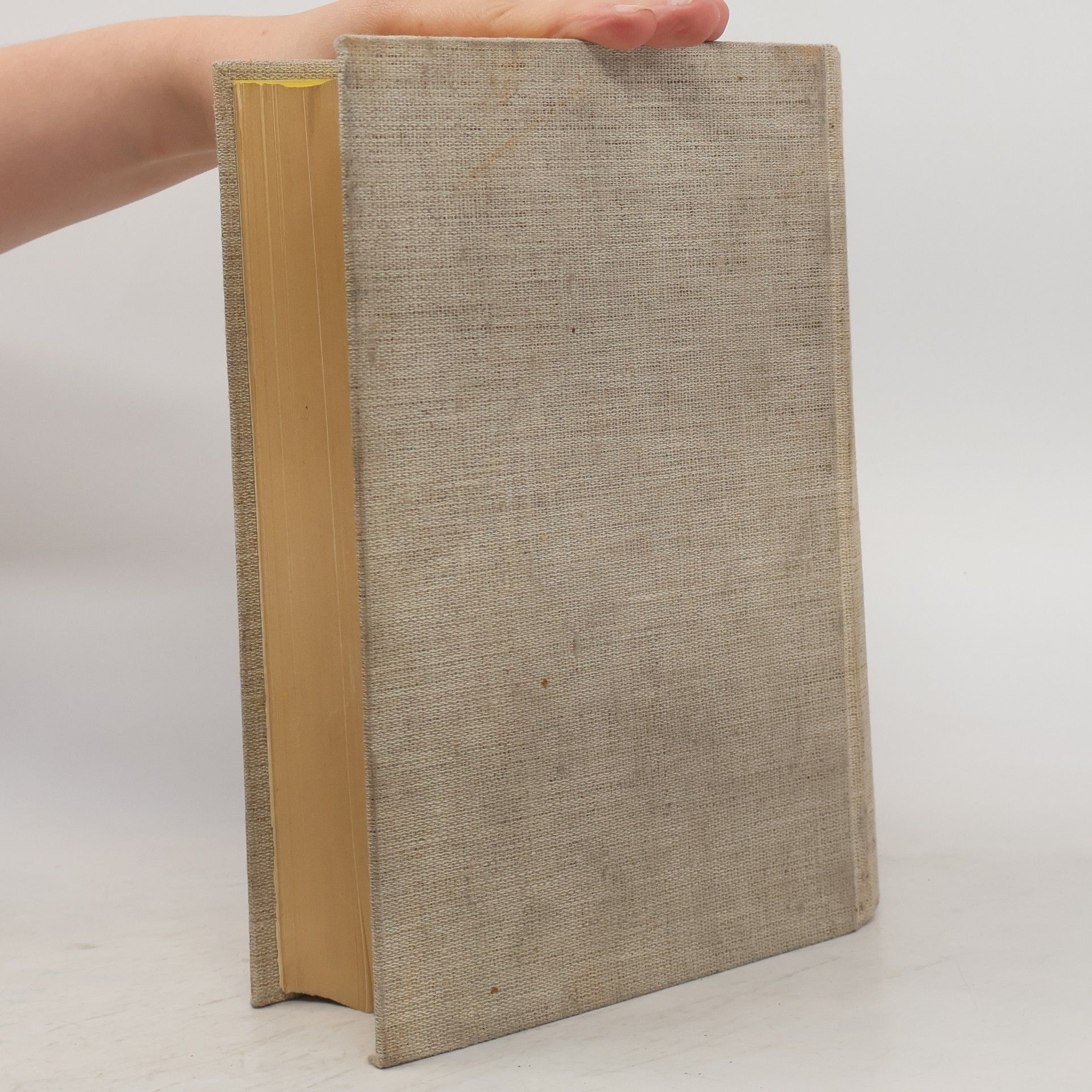 Kolektiv autorů Manuale di storia biblica