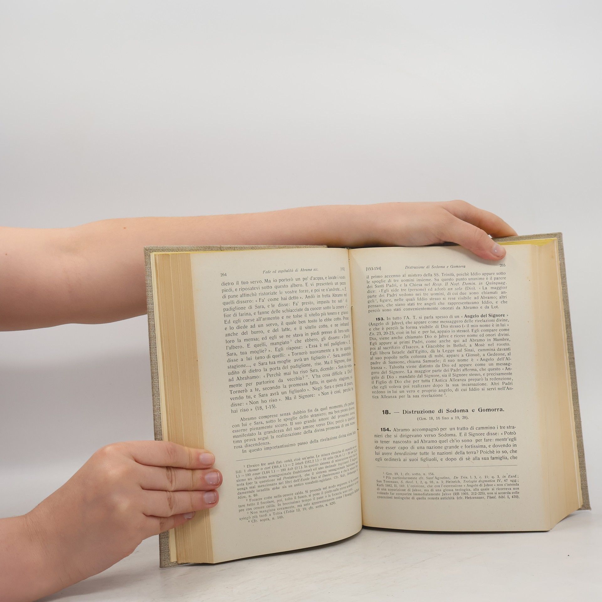 Kolektiv autorů Manuale di storia biblica