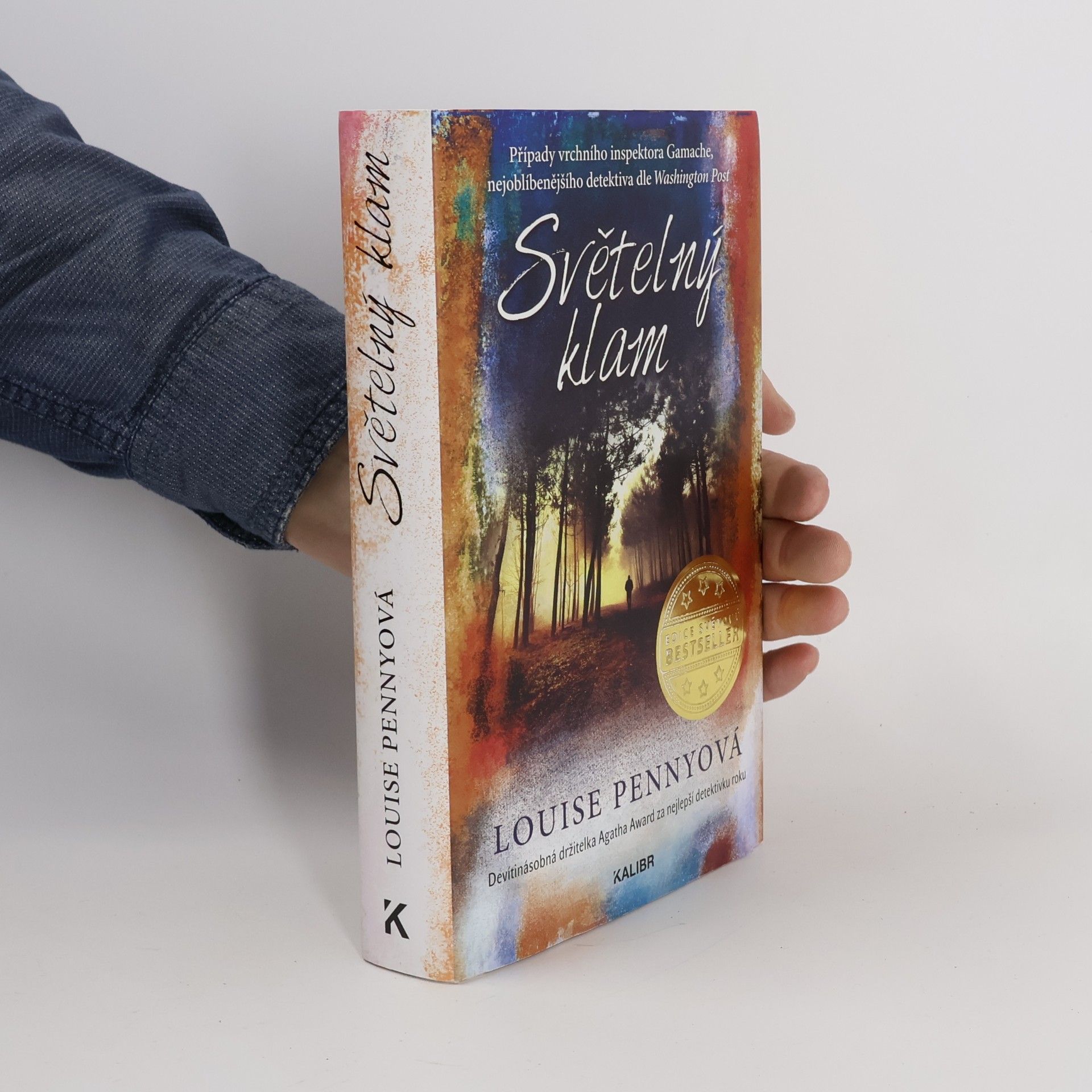 Louise Penny Světelný klam