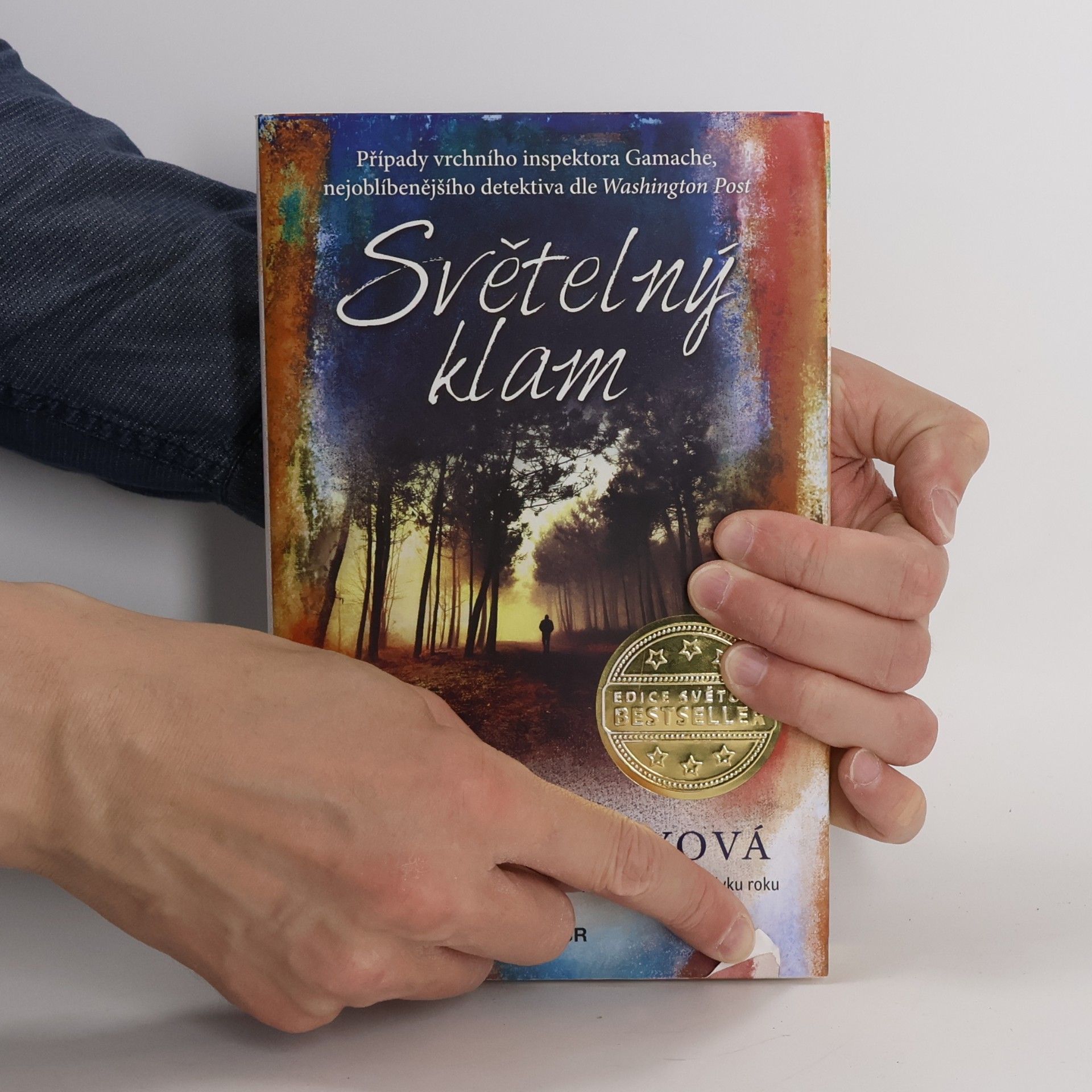 Louise Penny Světelný klam
