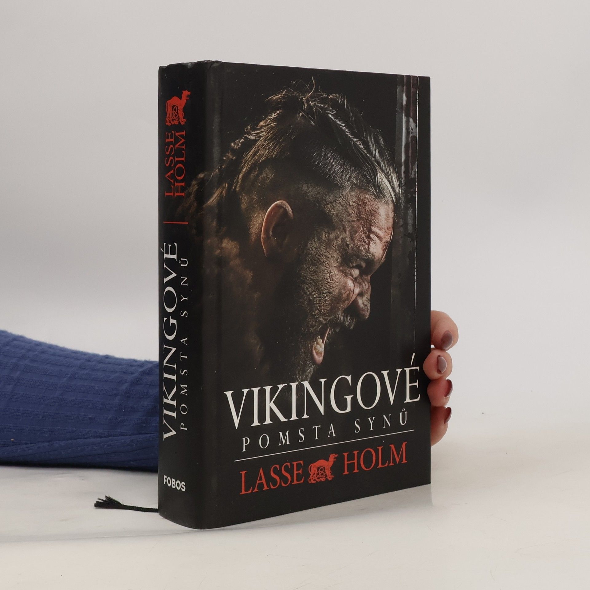 Vikingové. Pomsta synů