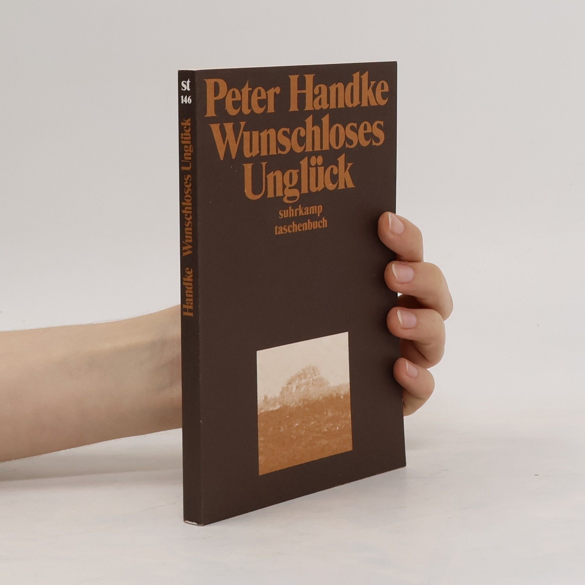 Peter Handke Wunschloses Unglück: Erzählung