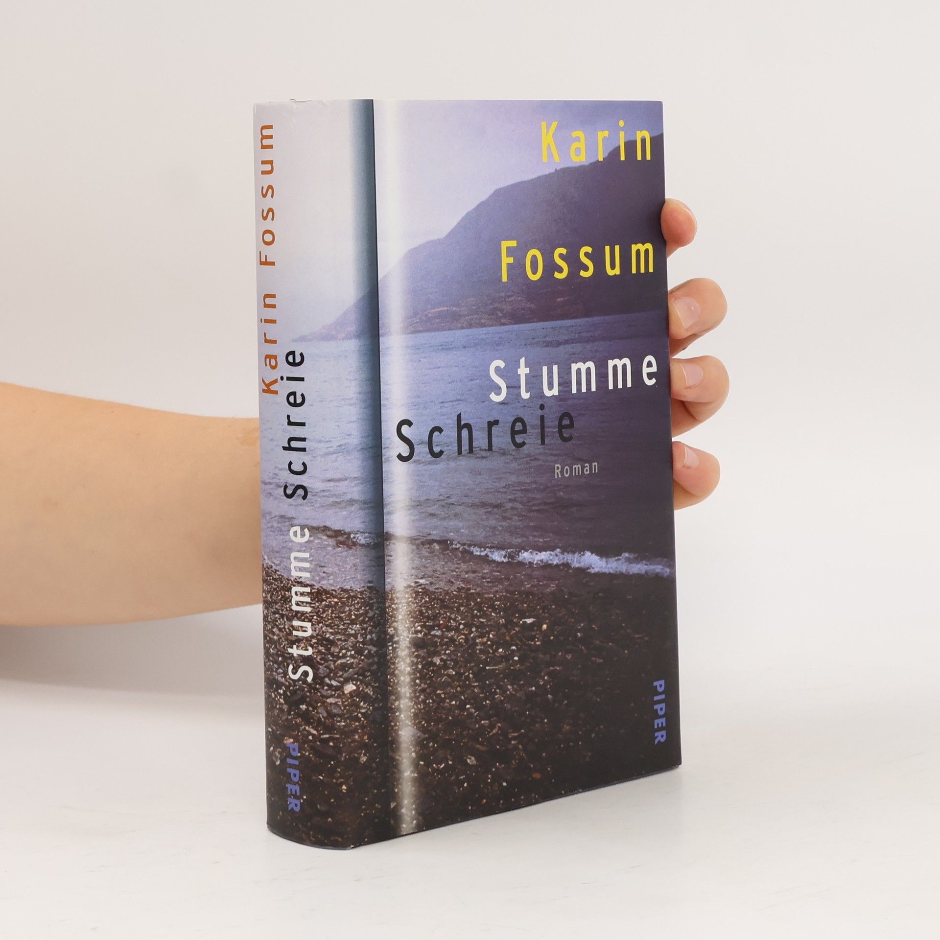 Karin Fossum Stumme Schreie