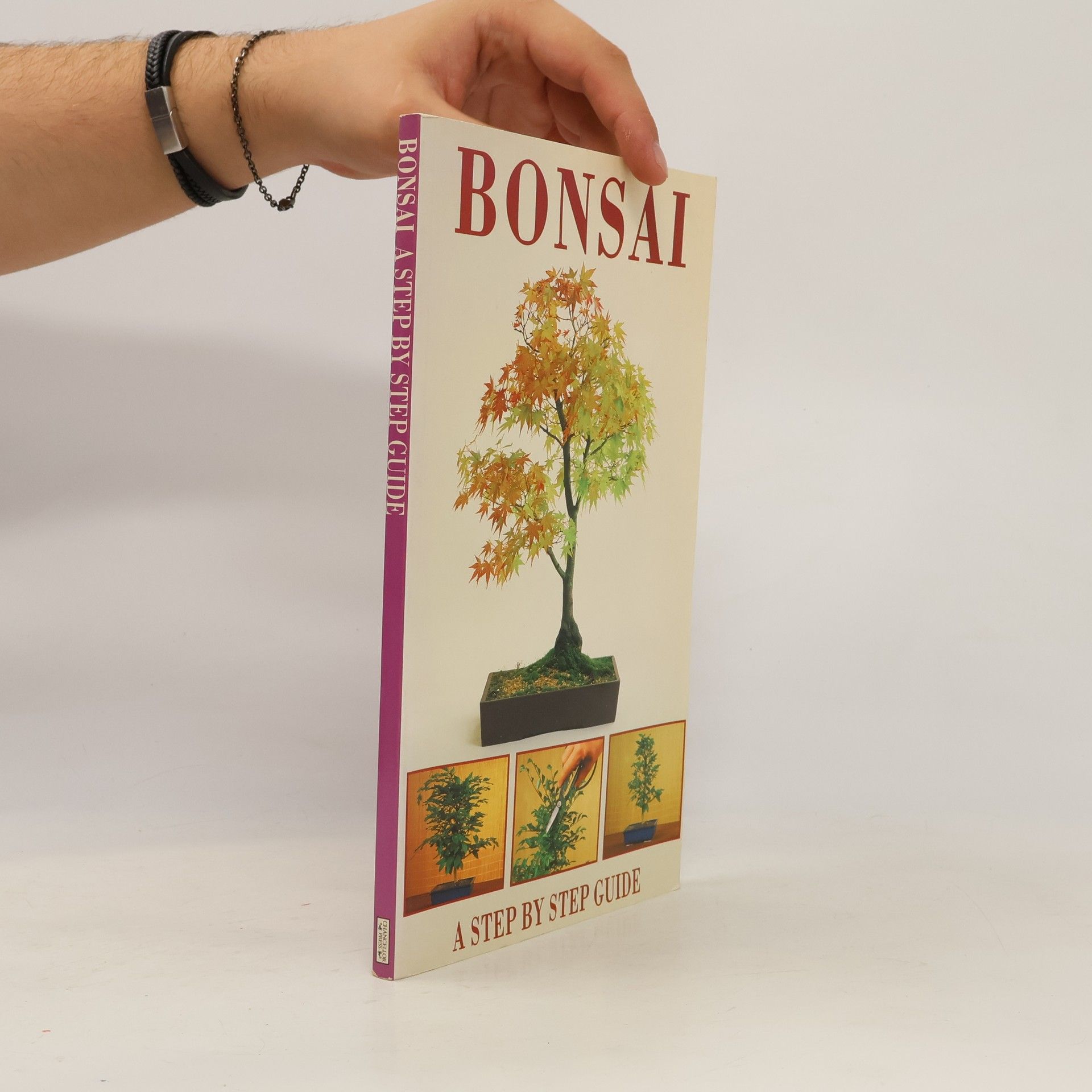 Rémy Samson Bonsai